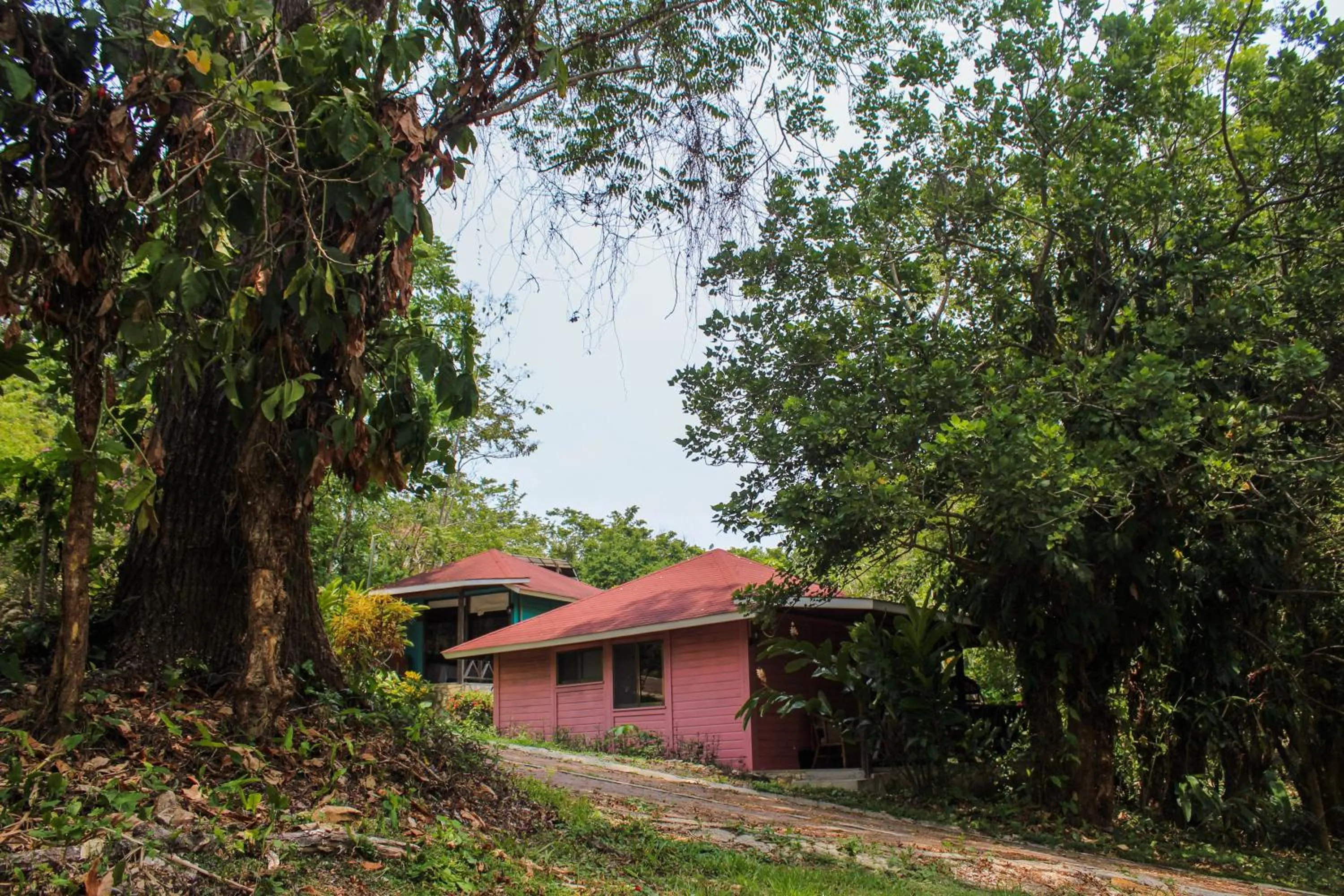 Garden view in Winíka Alterra
