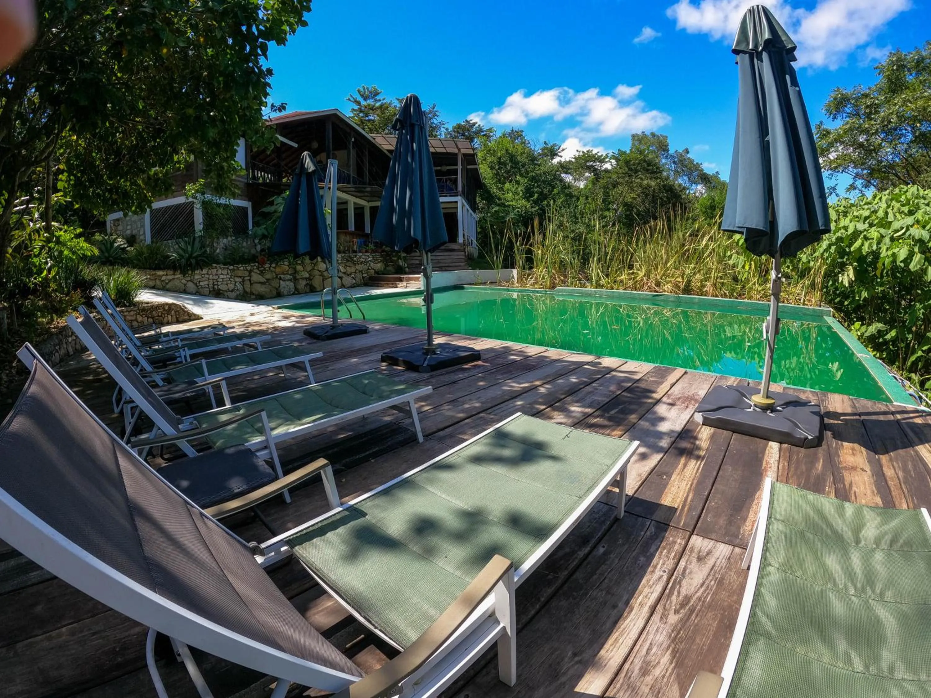 Swimming pool in Winíka Alterra