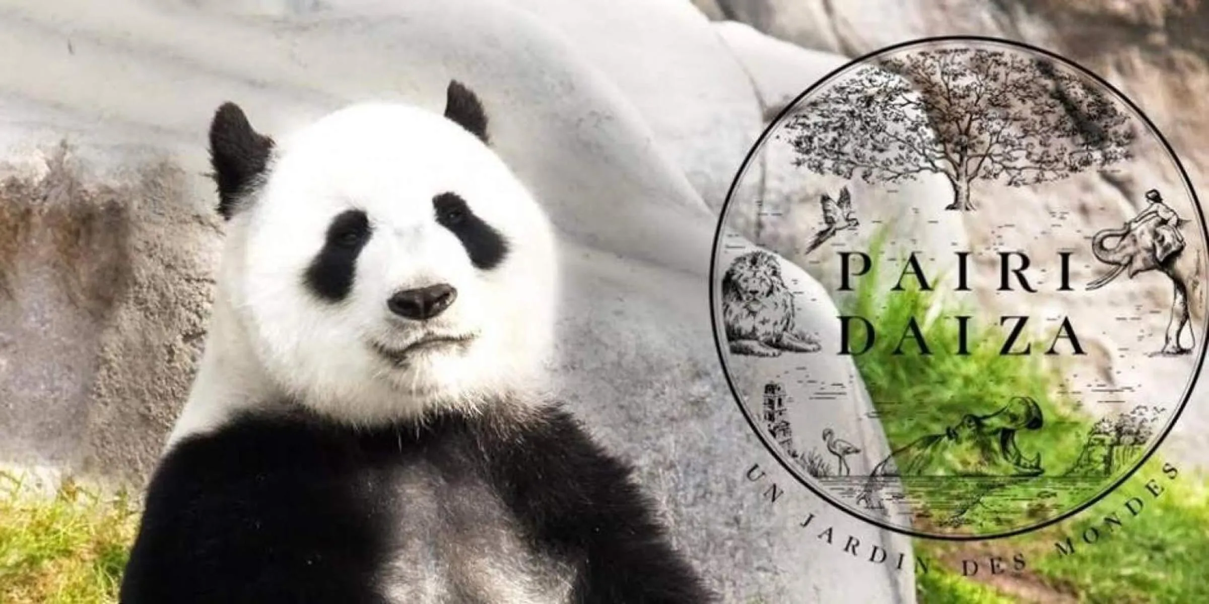 Activities in Hotel & Aparthotel Casteau Resort Mons Soignies