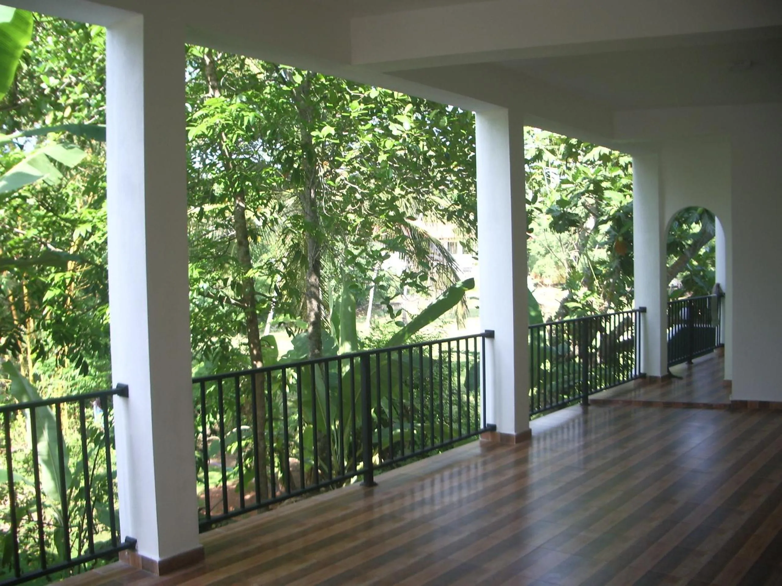 Balcony/Terrace in Hotel "Diana"