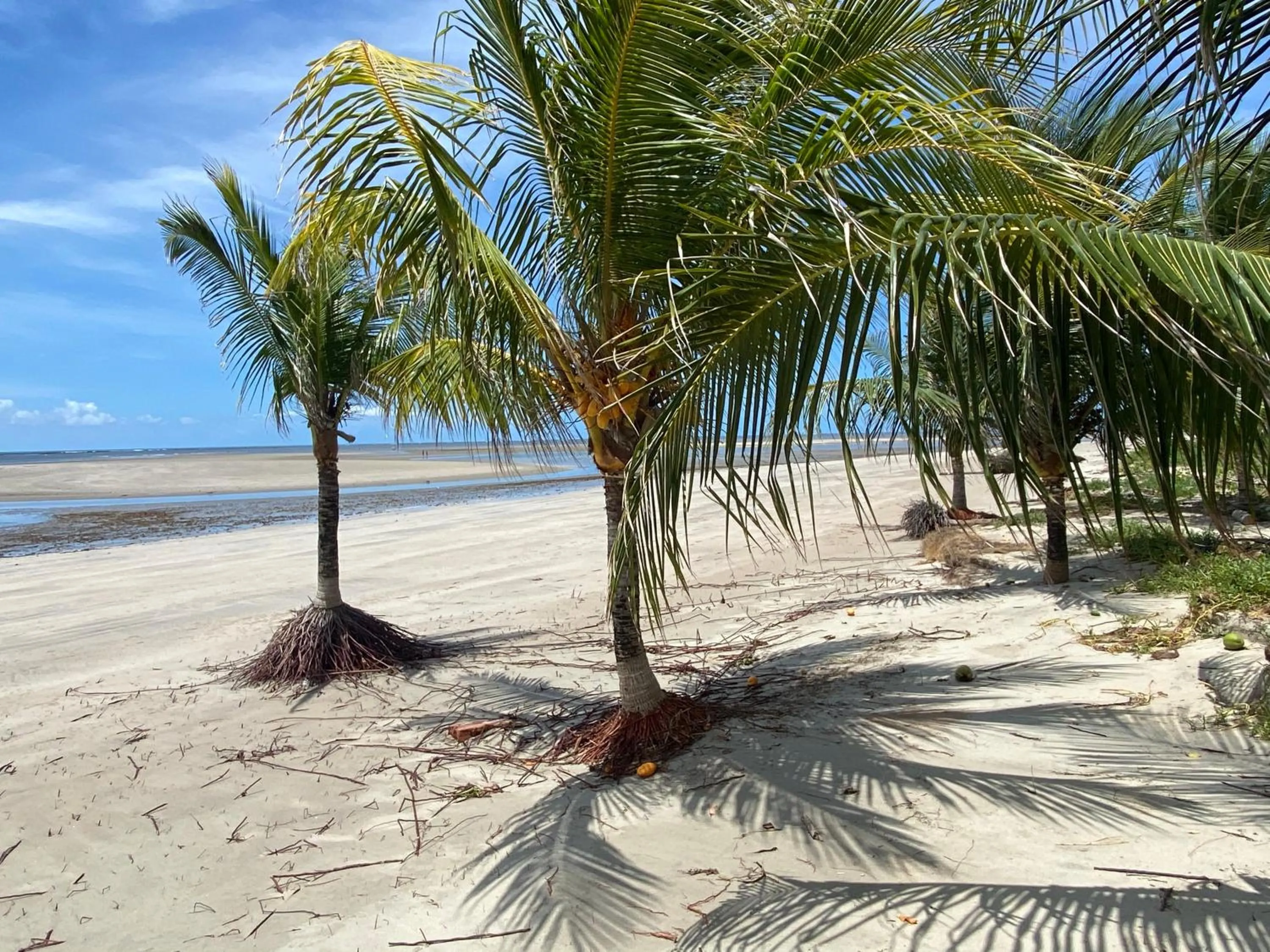 Pousada Porto Manguaba