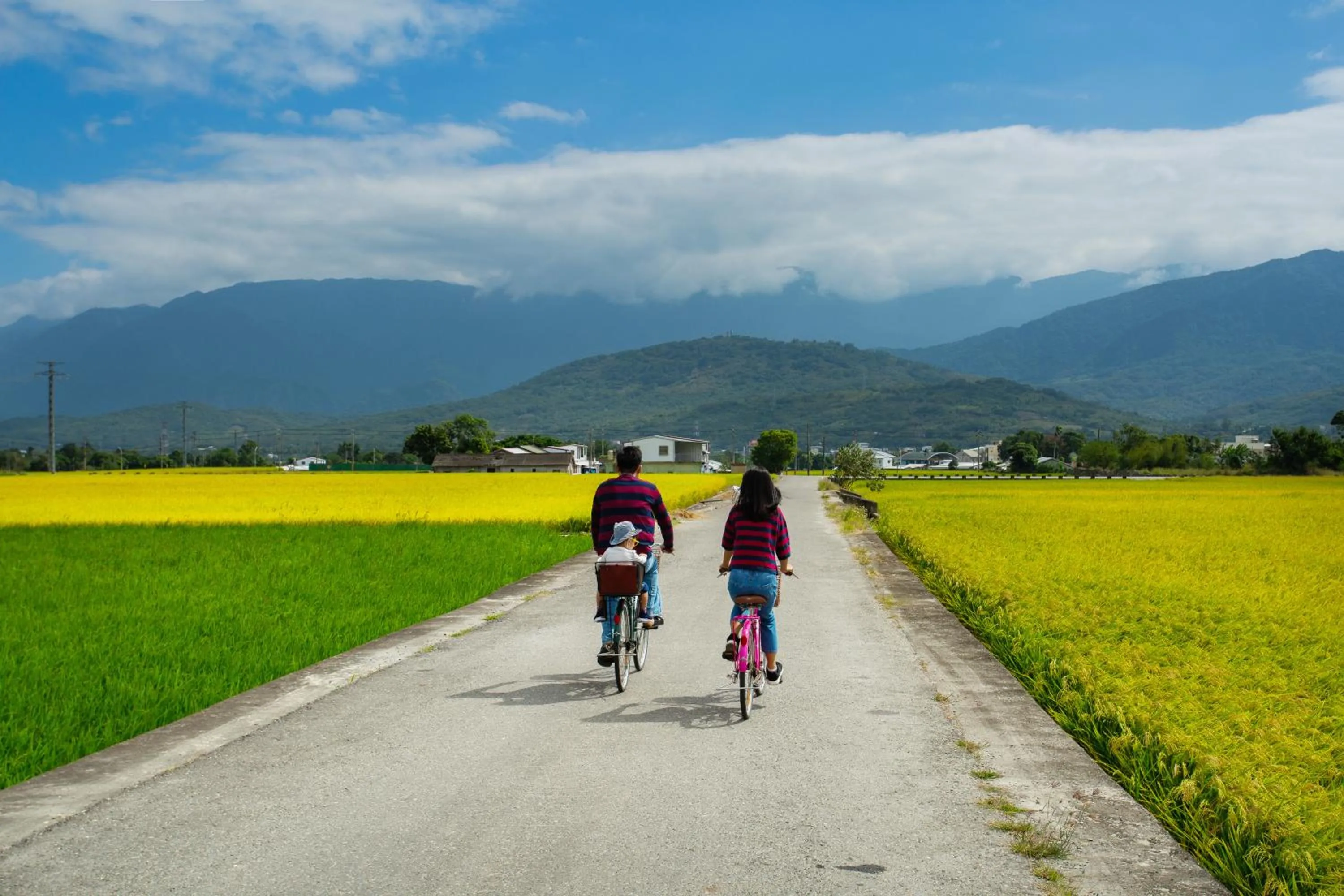 Neighbourhood in Brownbnb