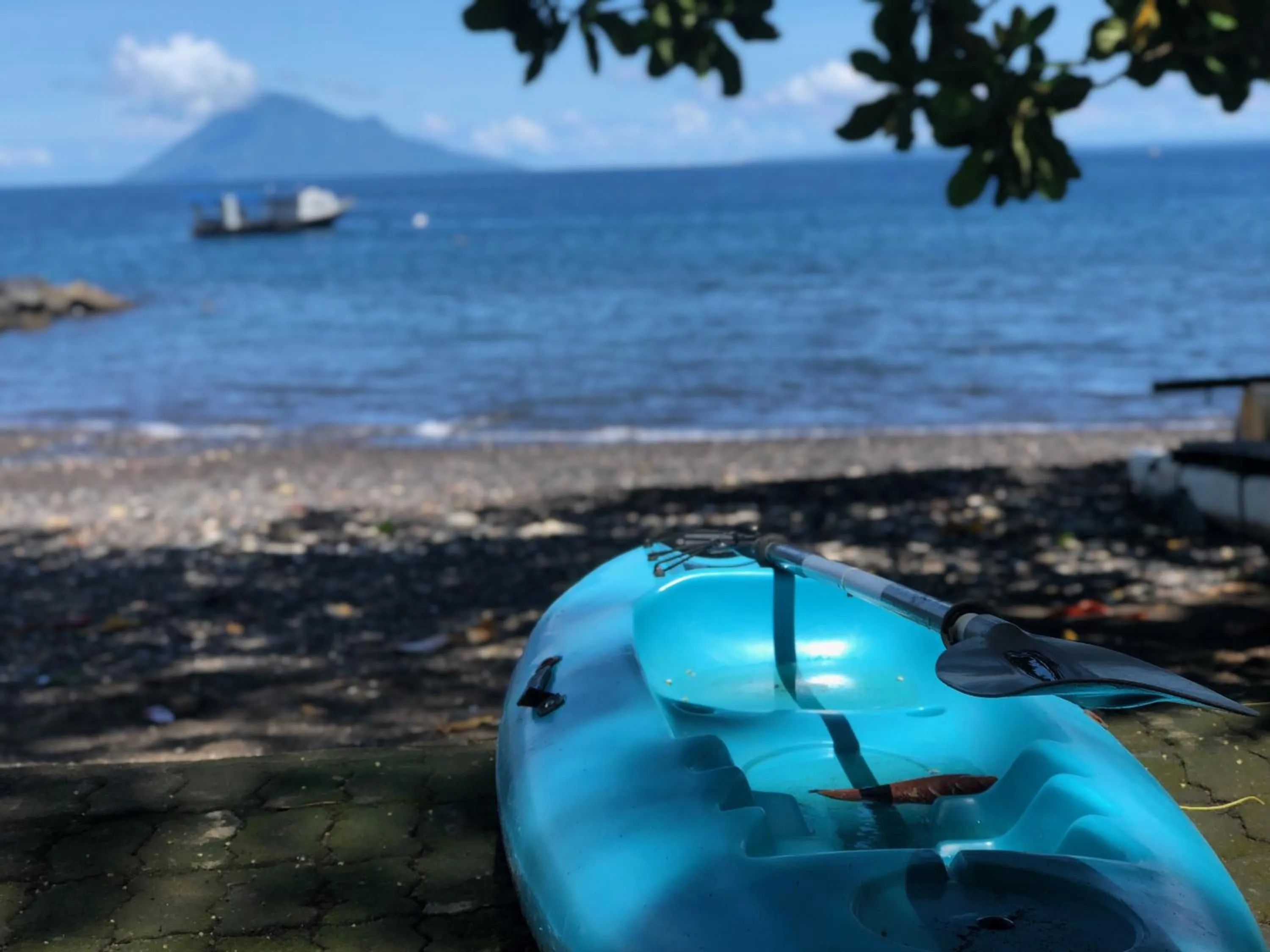 Beach in Murex Dive Resort