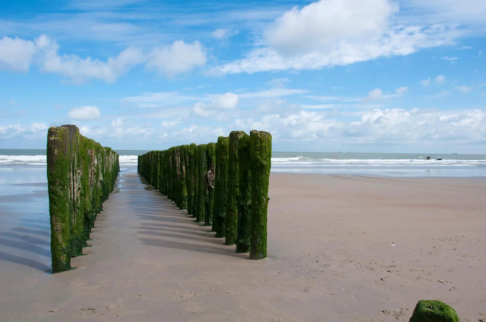 Natural landscape in Hotel Adagio