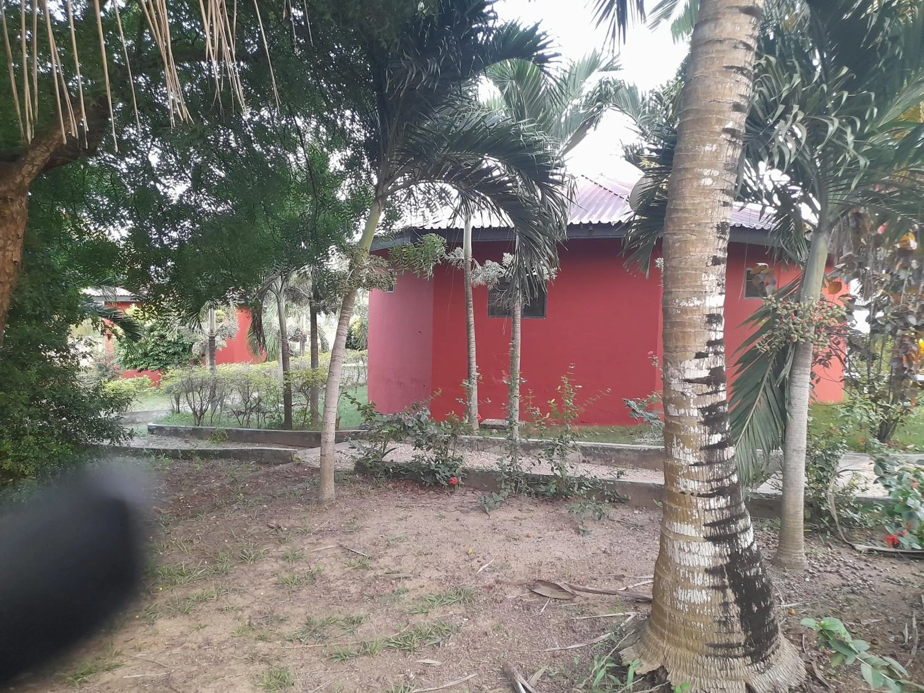 Paradise Ocean Resort