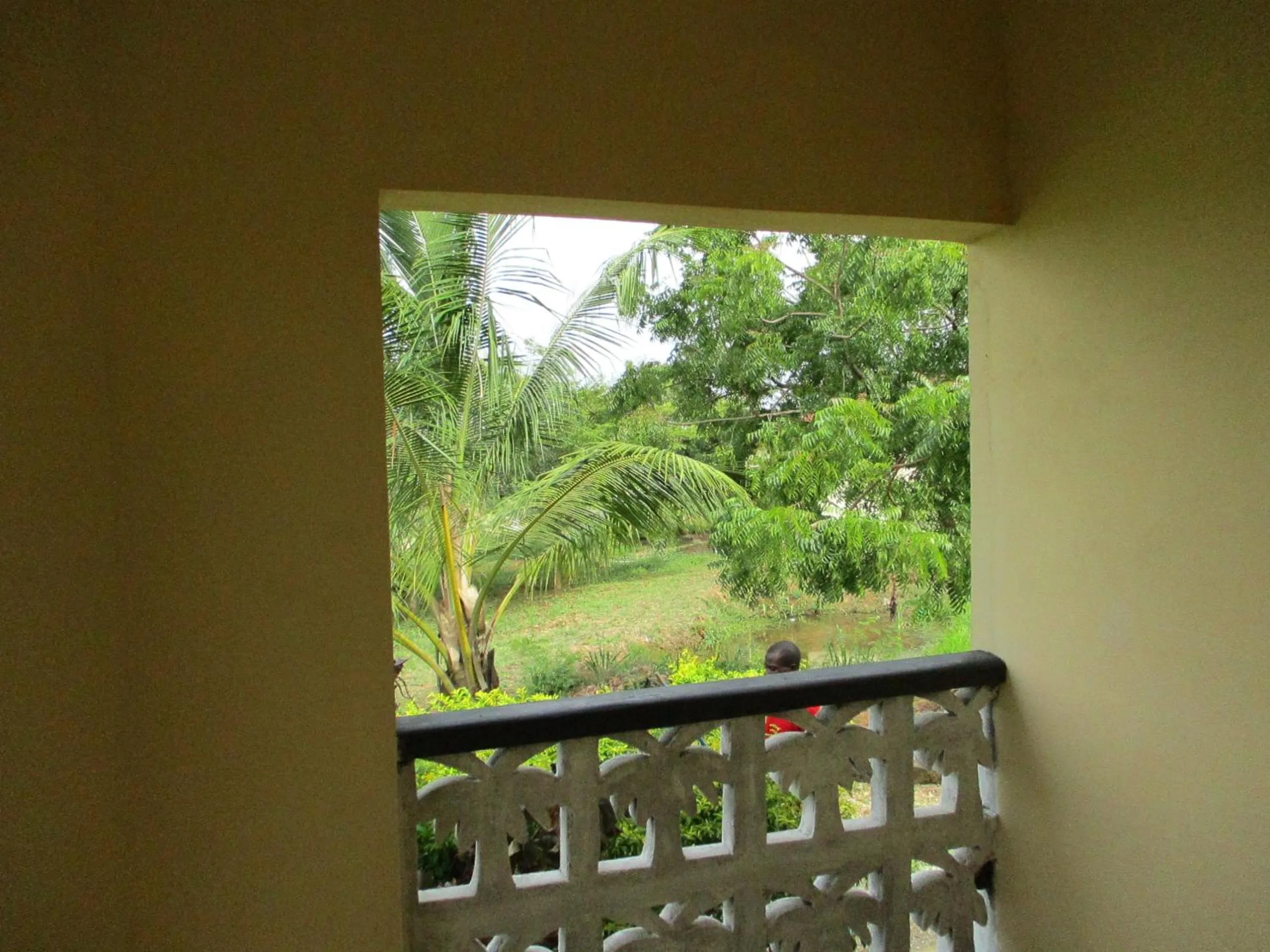Balcony/Terrace in Paradise Ocean Resort
