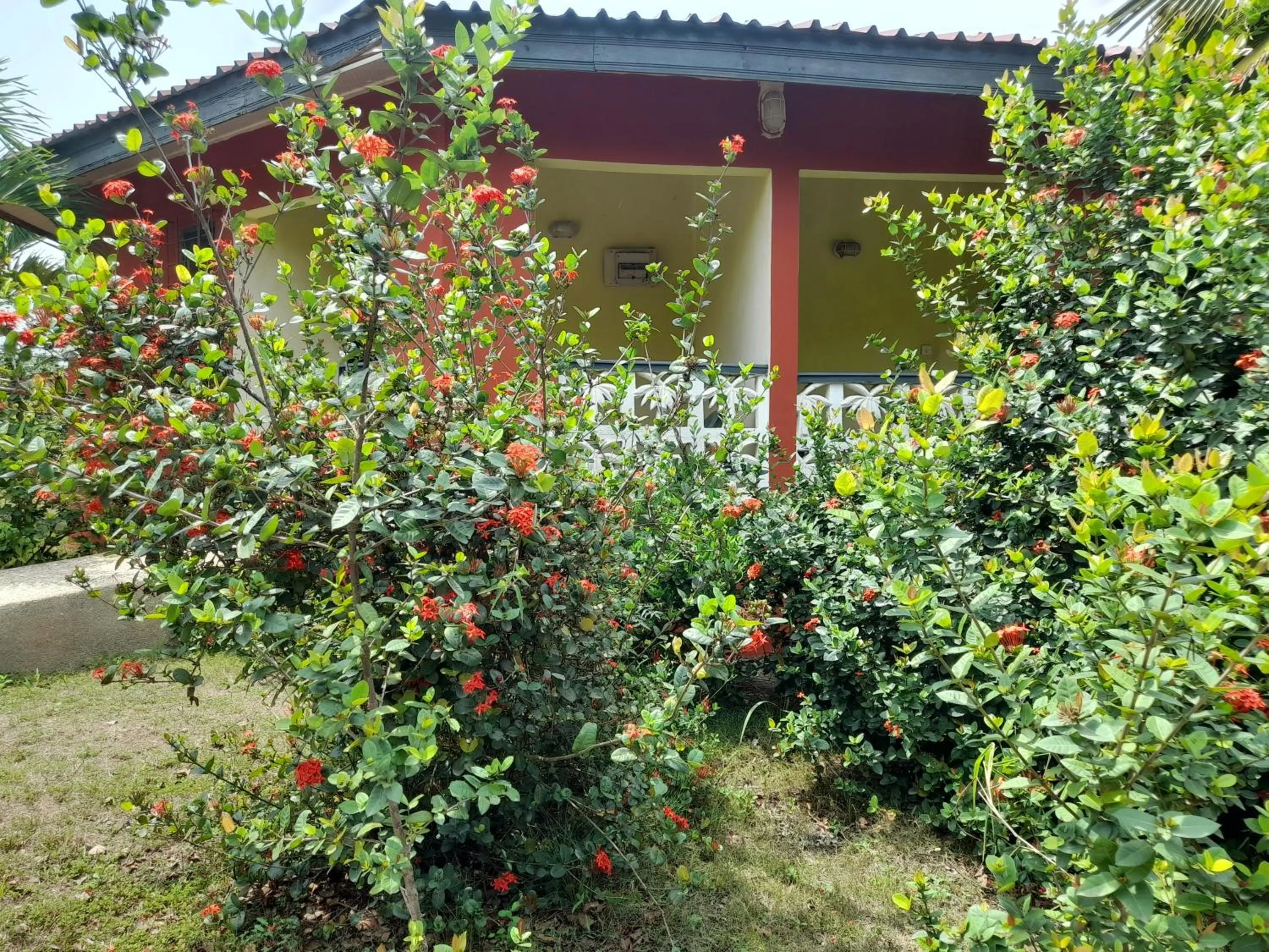 Paradise Ocean Resort