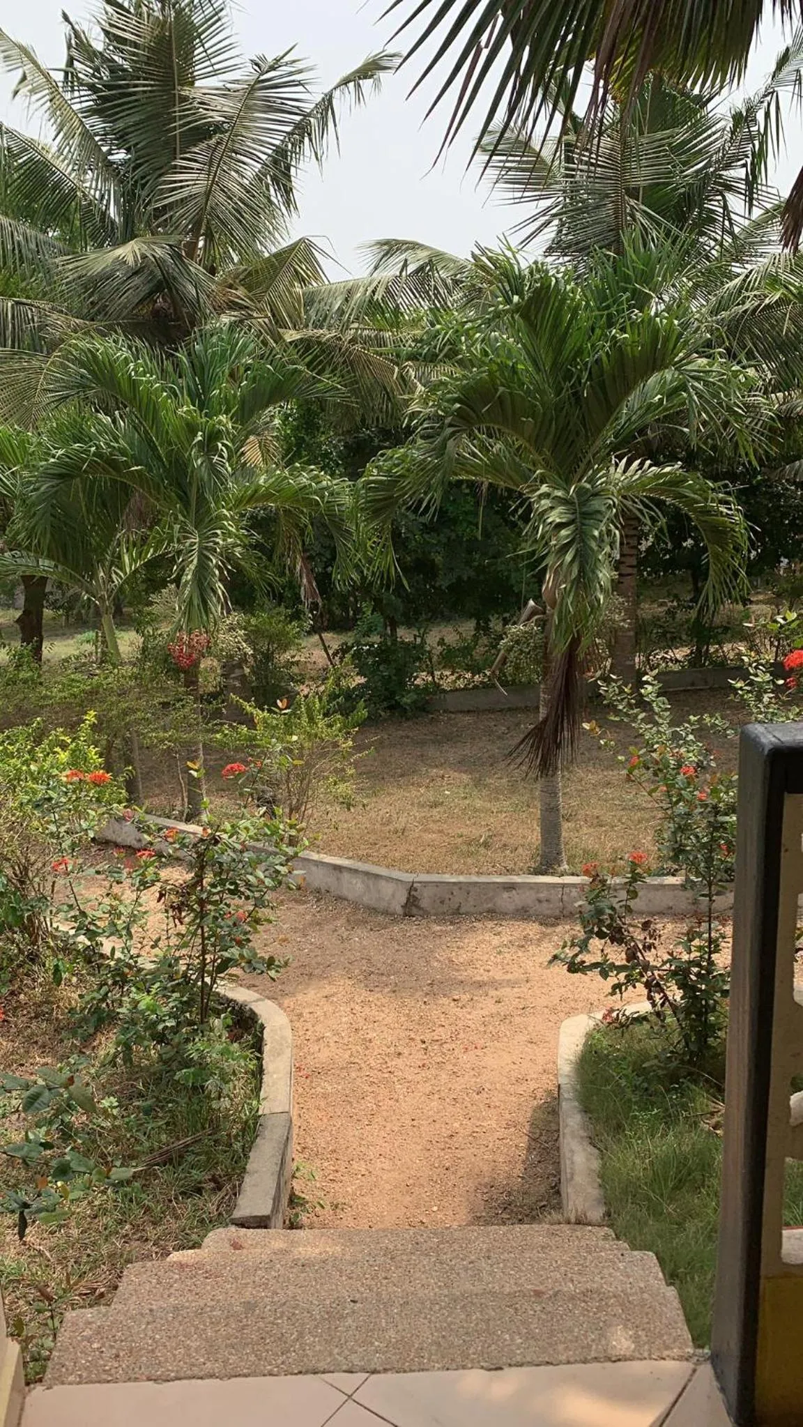 Paradise Ocean Resort