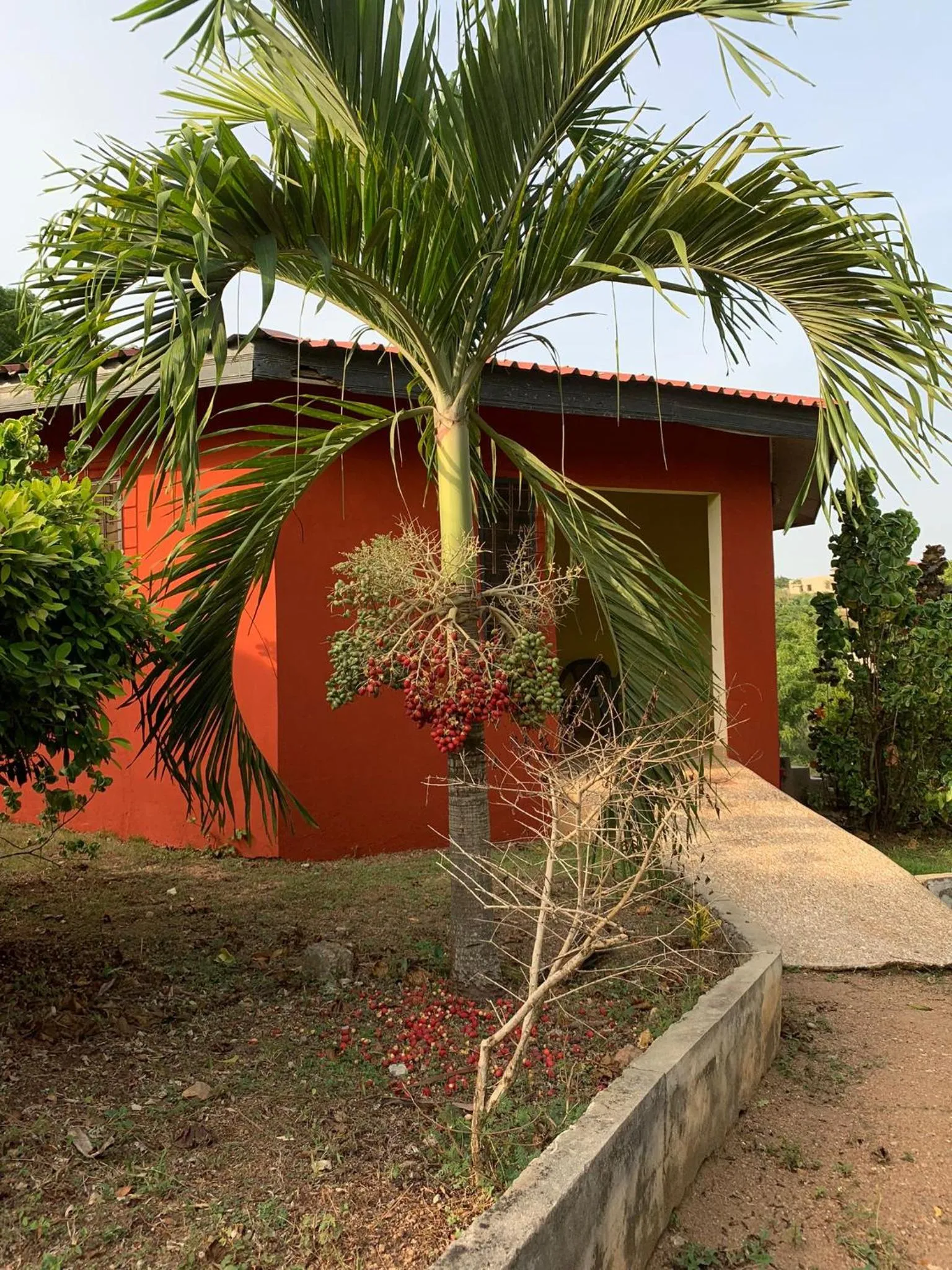 Property building in Paradise Ocean Resort