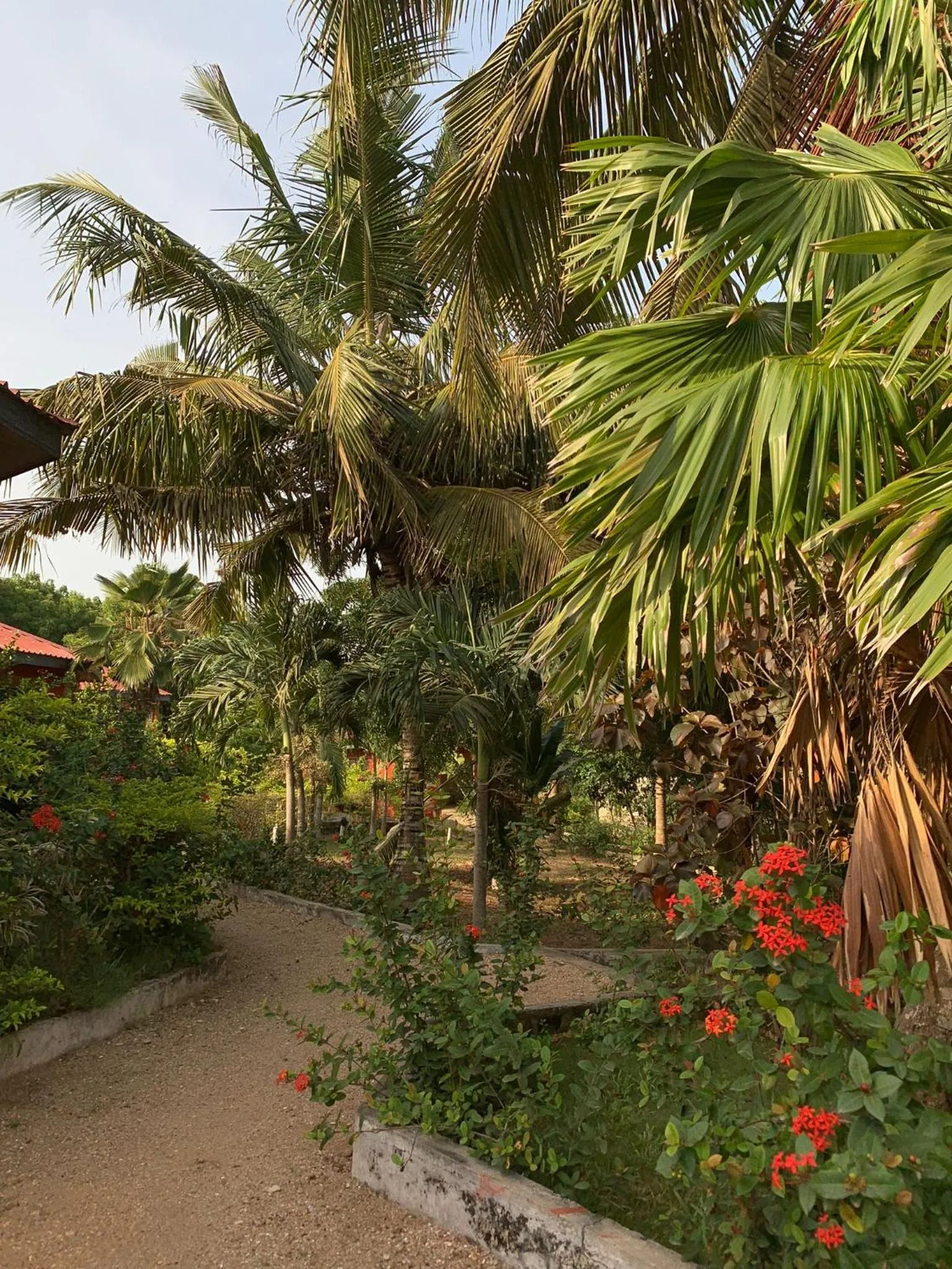 Paradise Ocean Resort