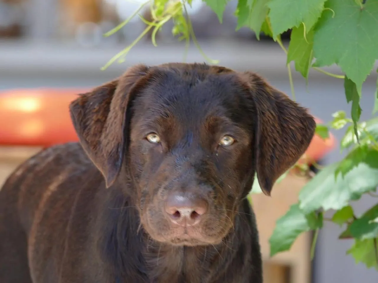 Property building in Bloemenzee Boutique B&B