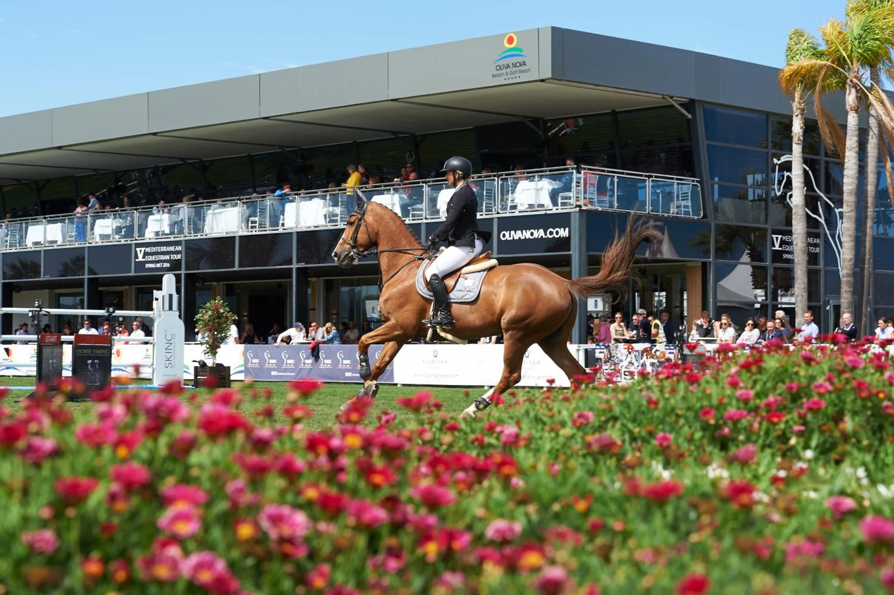 Horse-riding in Las Dunas