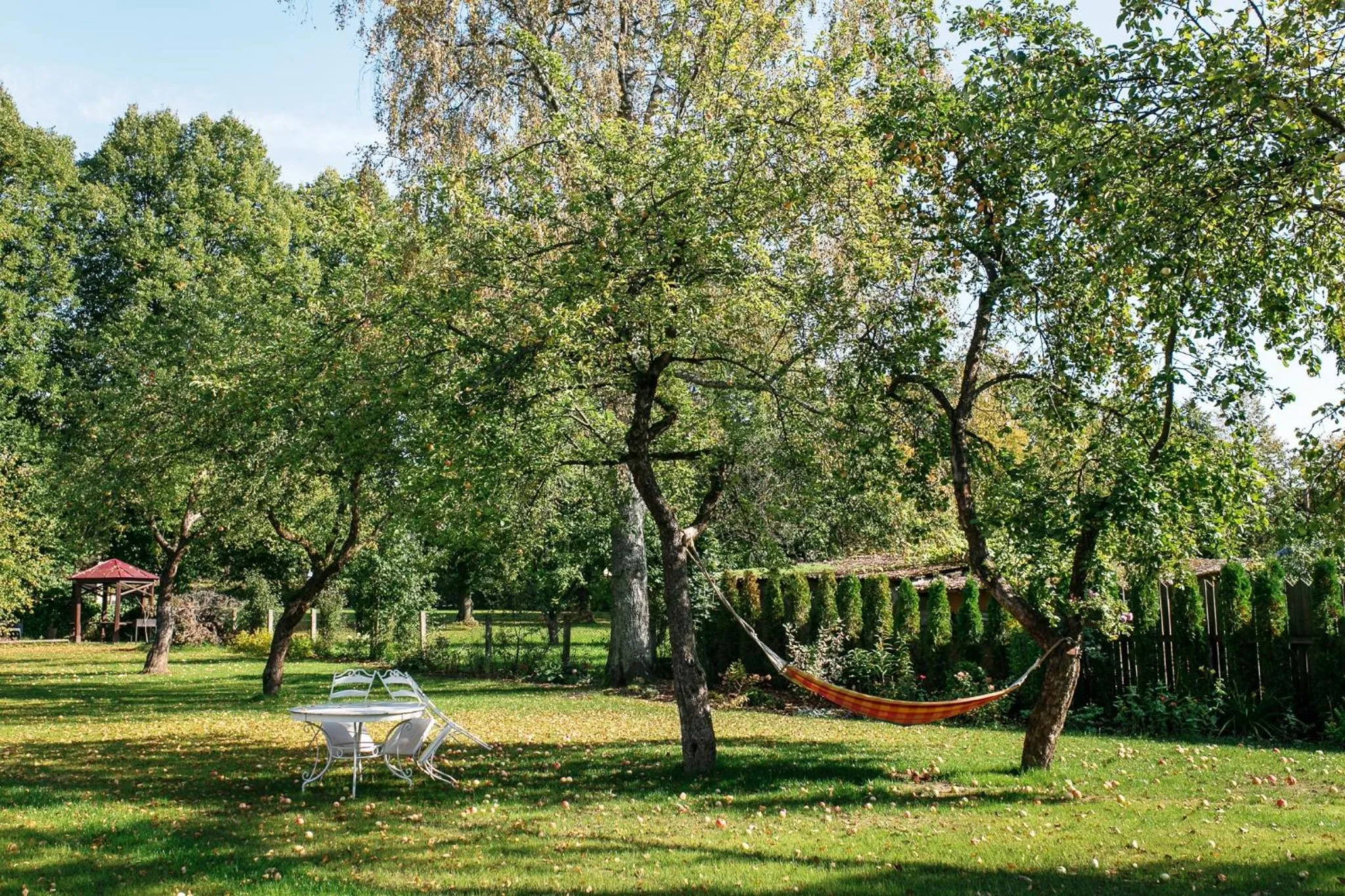 Lounge or bar in Park Apartments