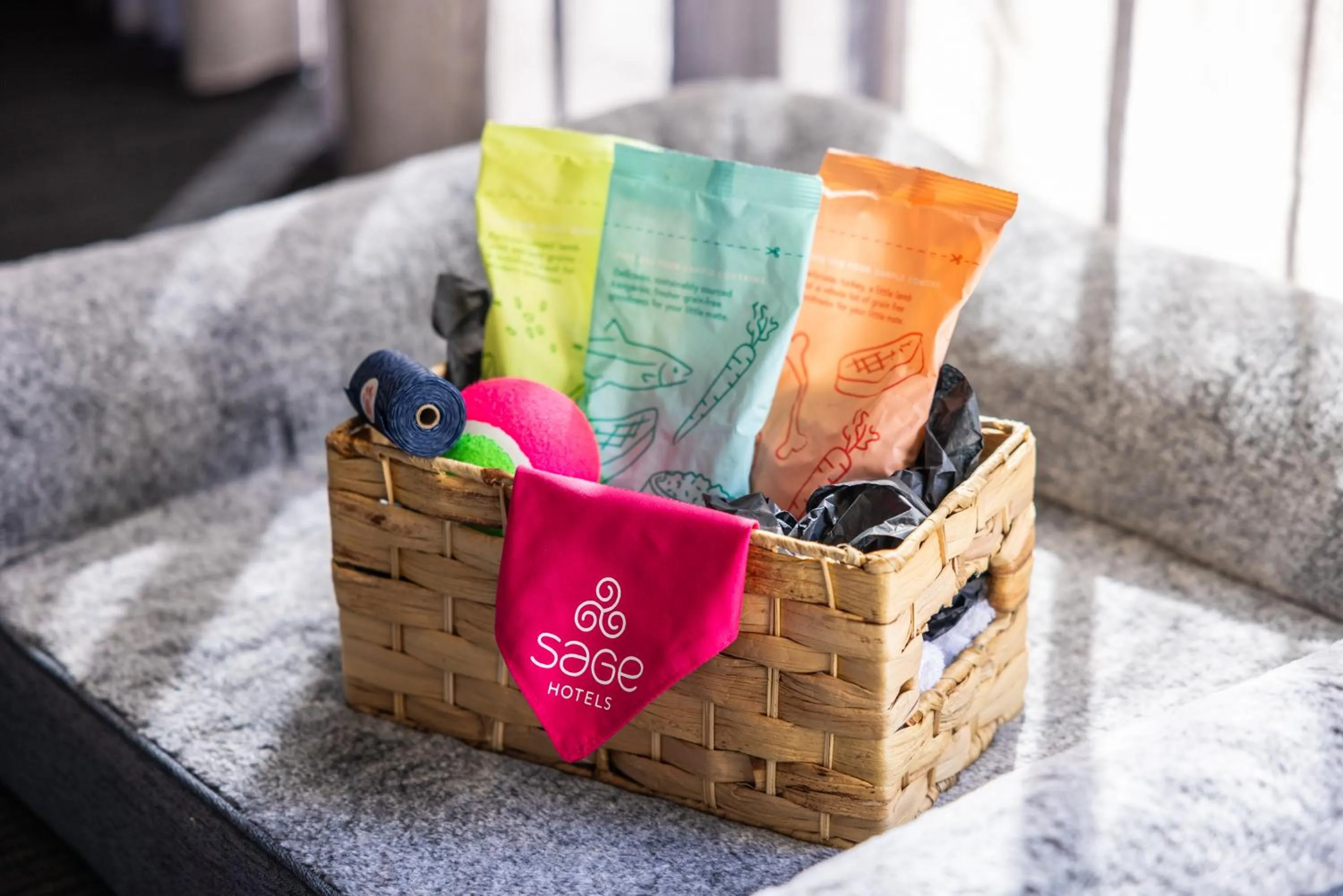 Pets in Sage Hotel James Street