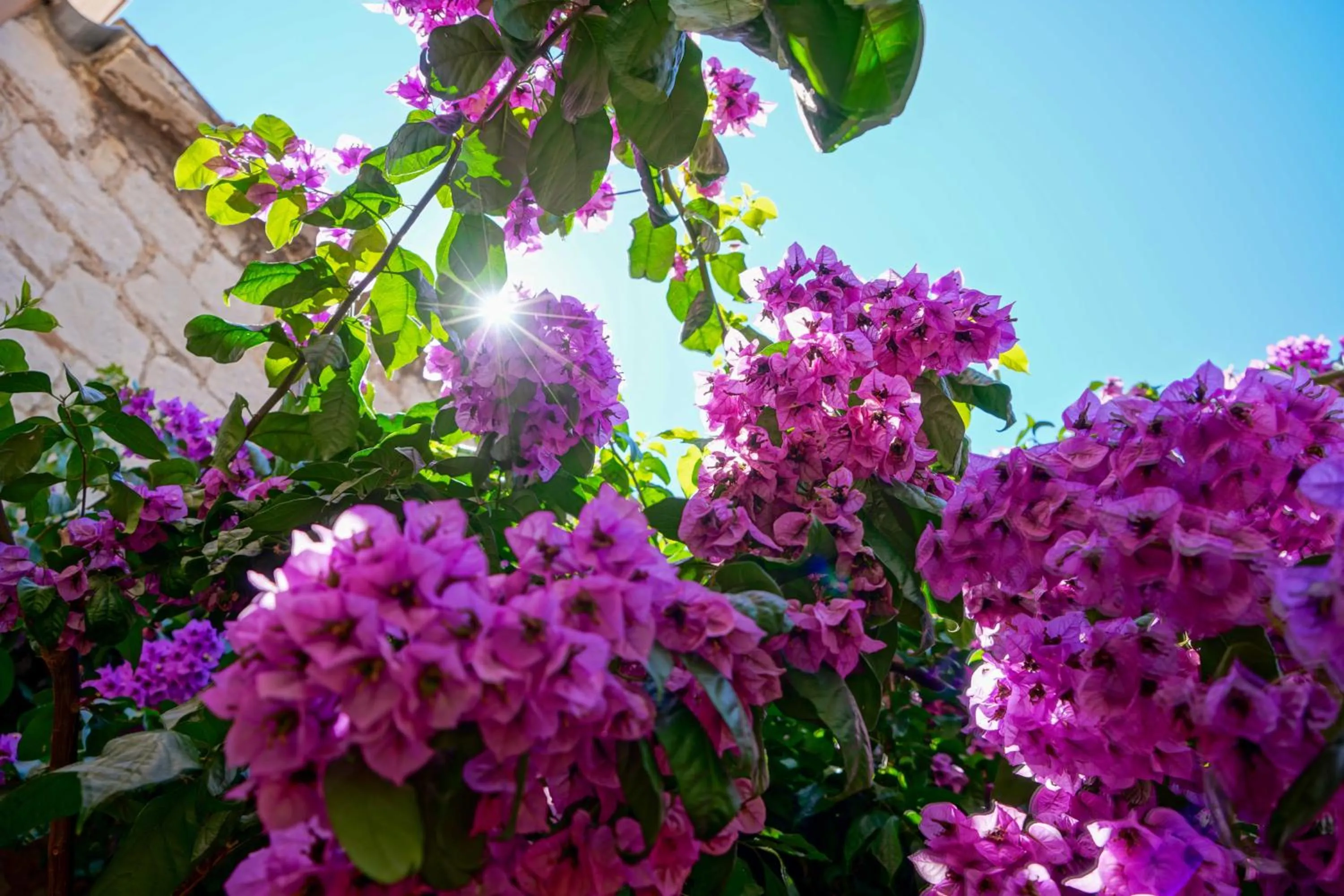 Property building in Boutique Guest Accommodation Zephyrus