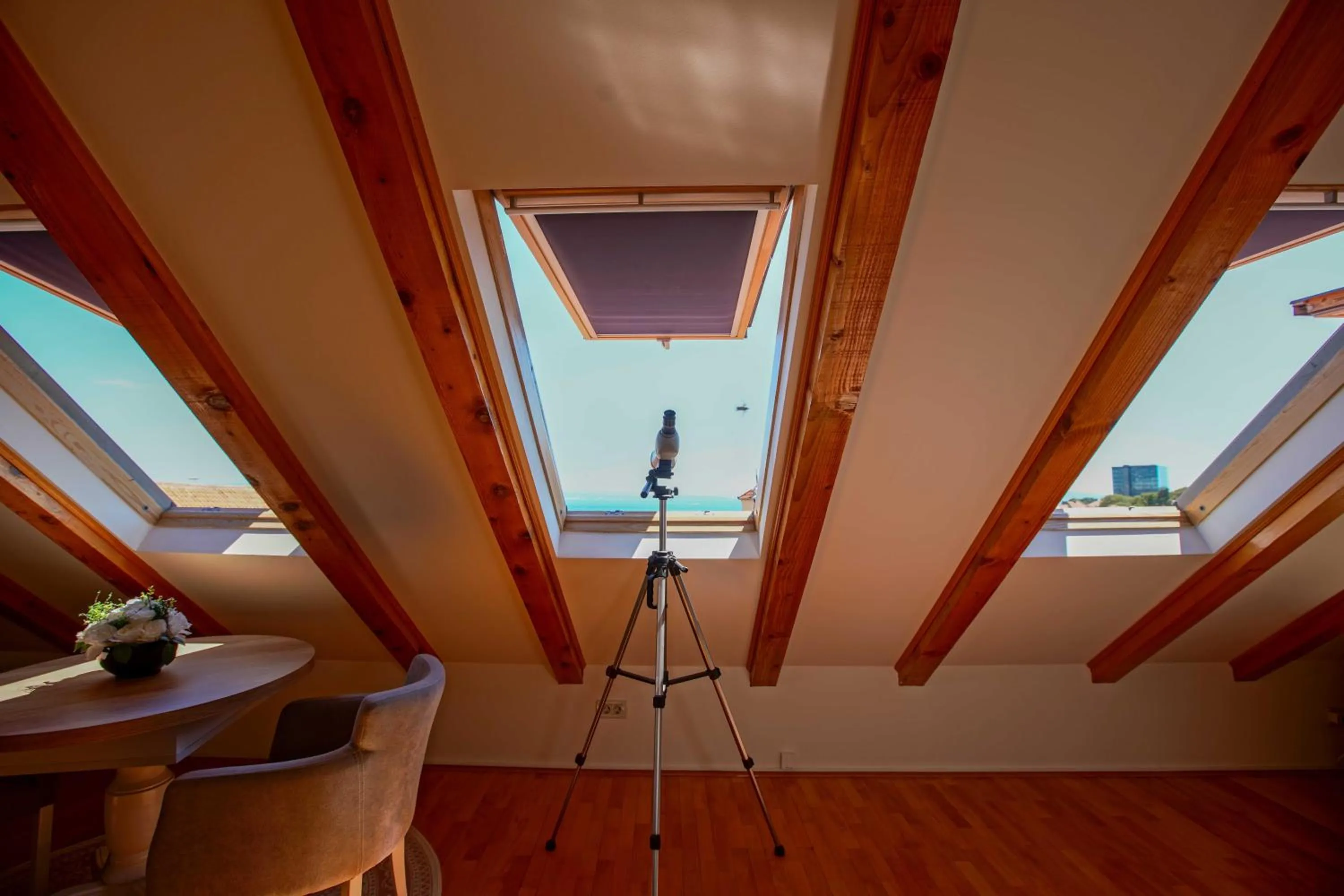 View (from property/room) in Boutique Guest Accommodation Zephyrus