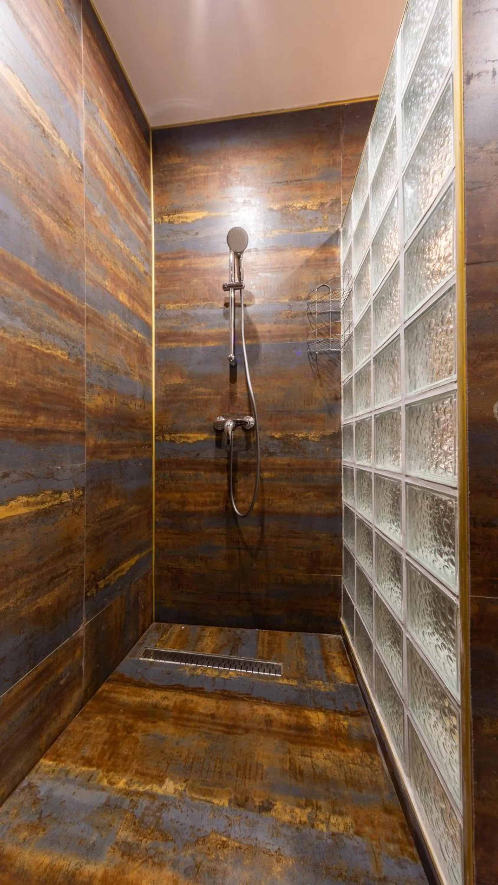 Shower in Hermannstadt House