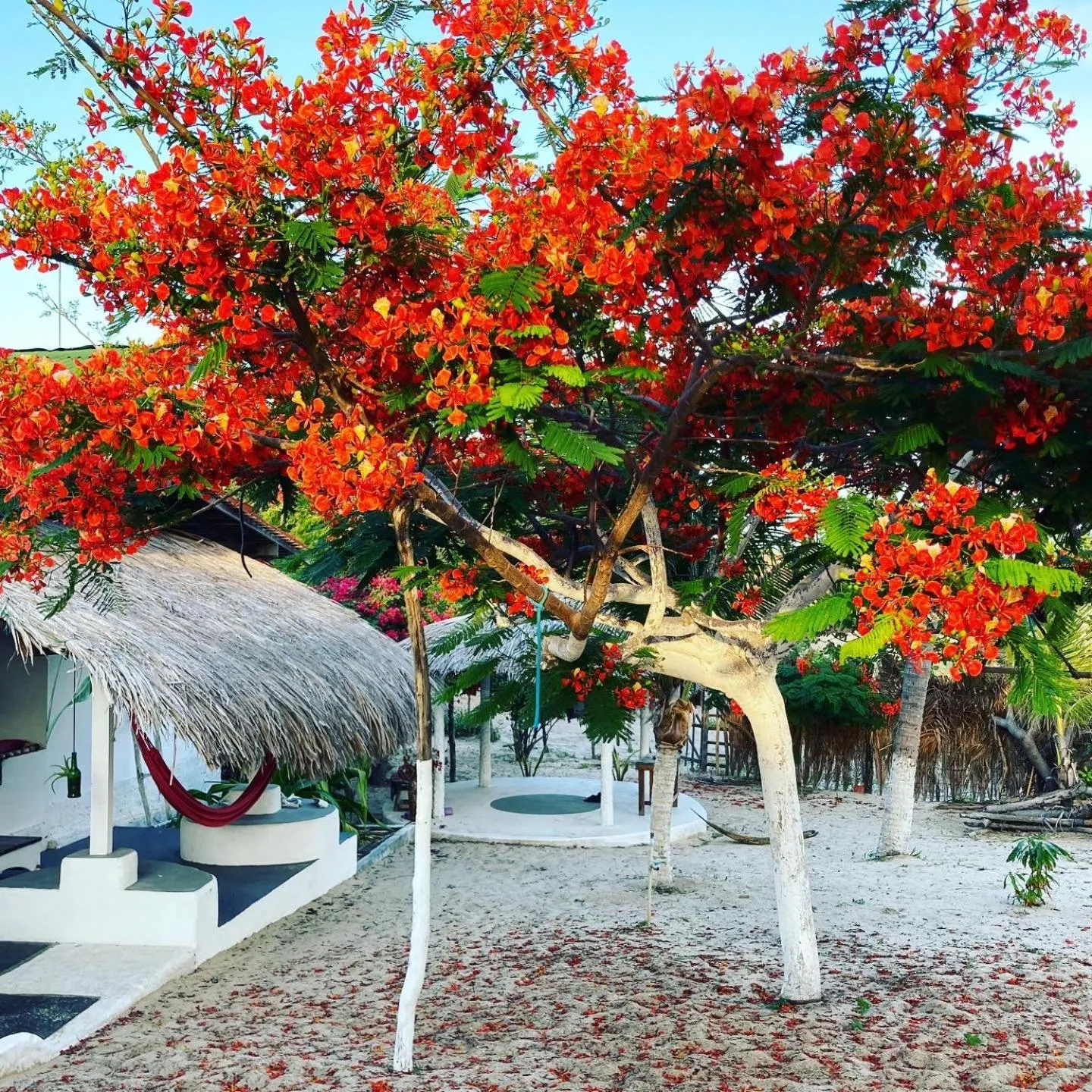 Property building in Casa Acquamarina