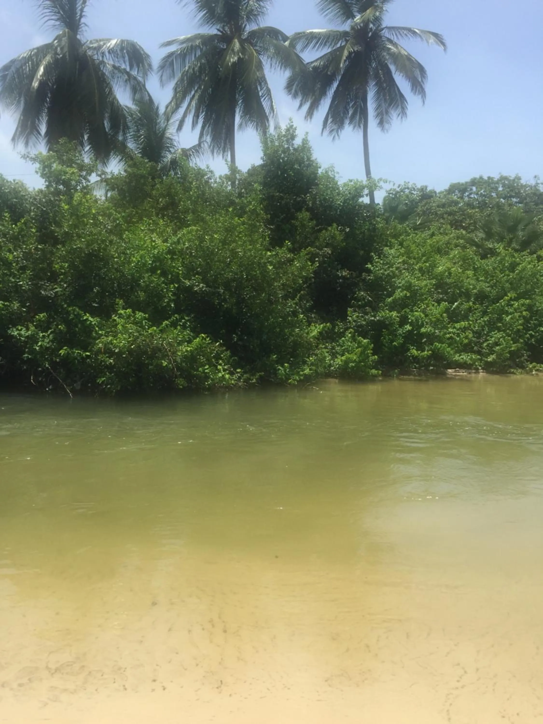 Natural landscape in Casa Acquamarina