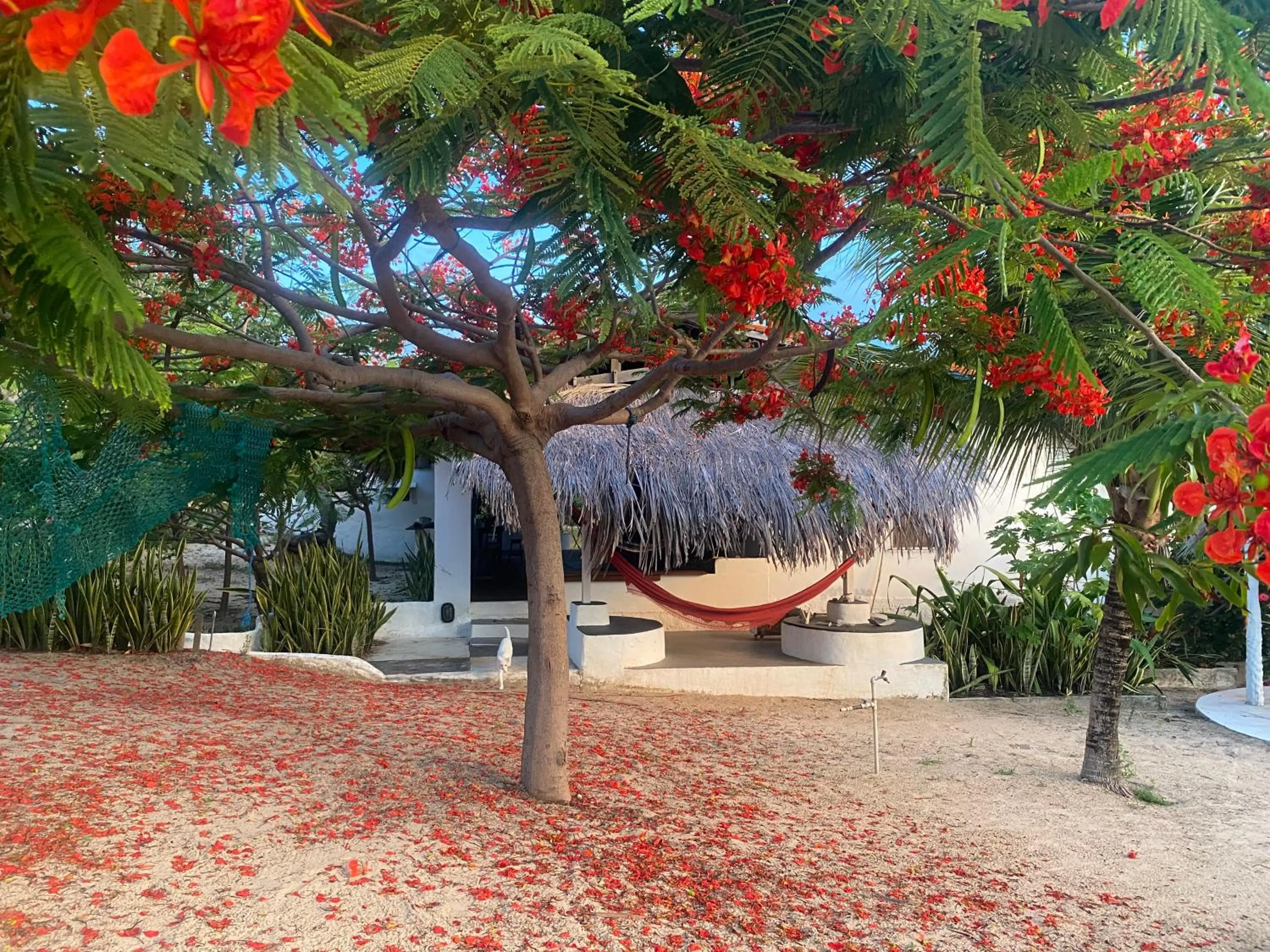 Property building in Casa Acquamarina