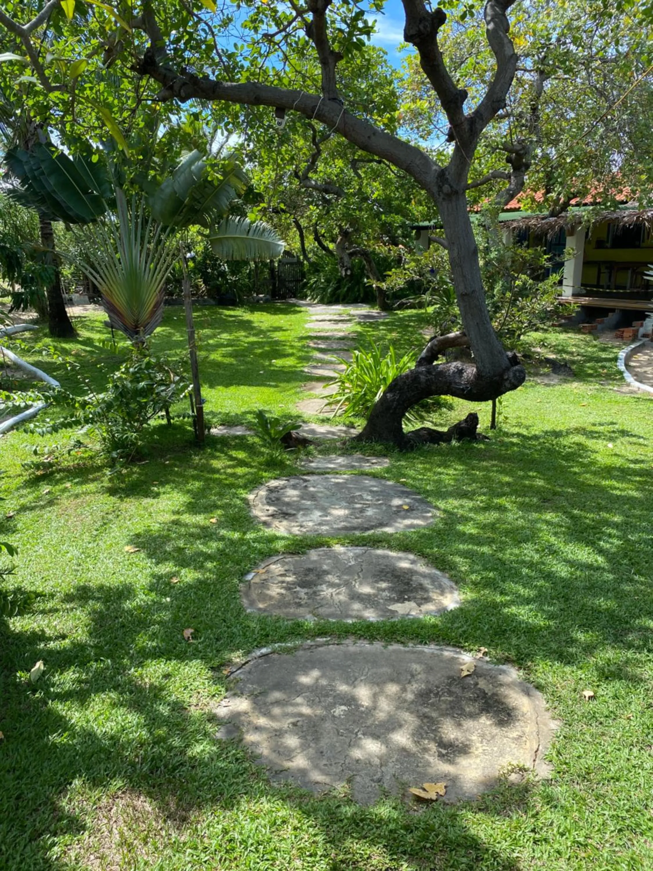 Garden in Casa Acquamarina