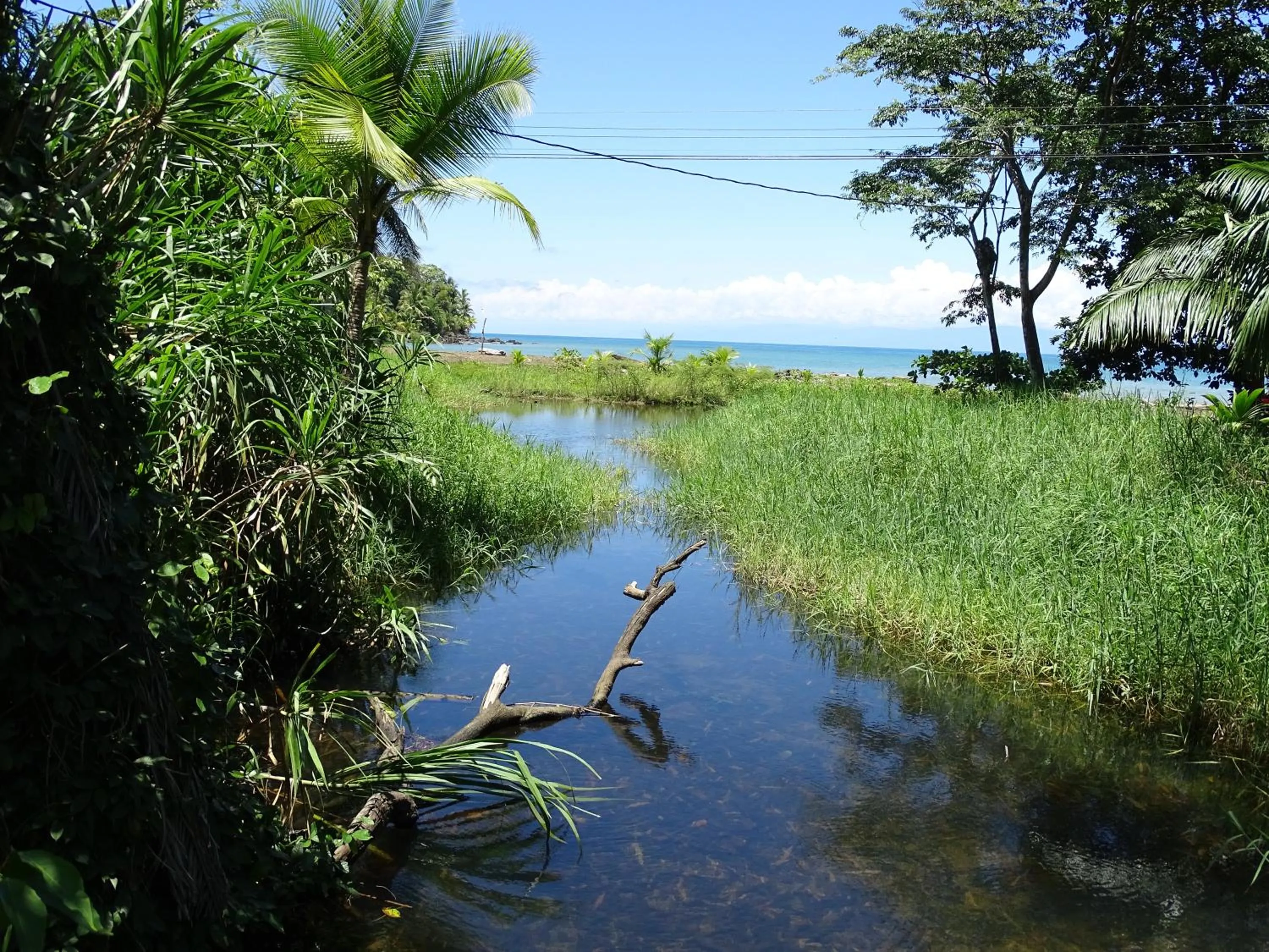 Beach in Hostel Osa Tucan Drake