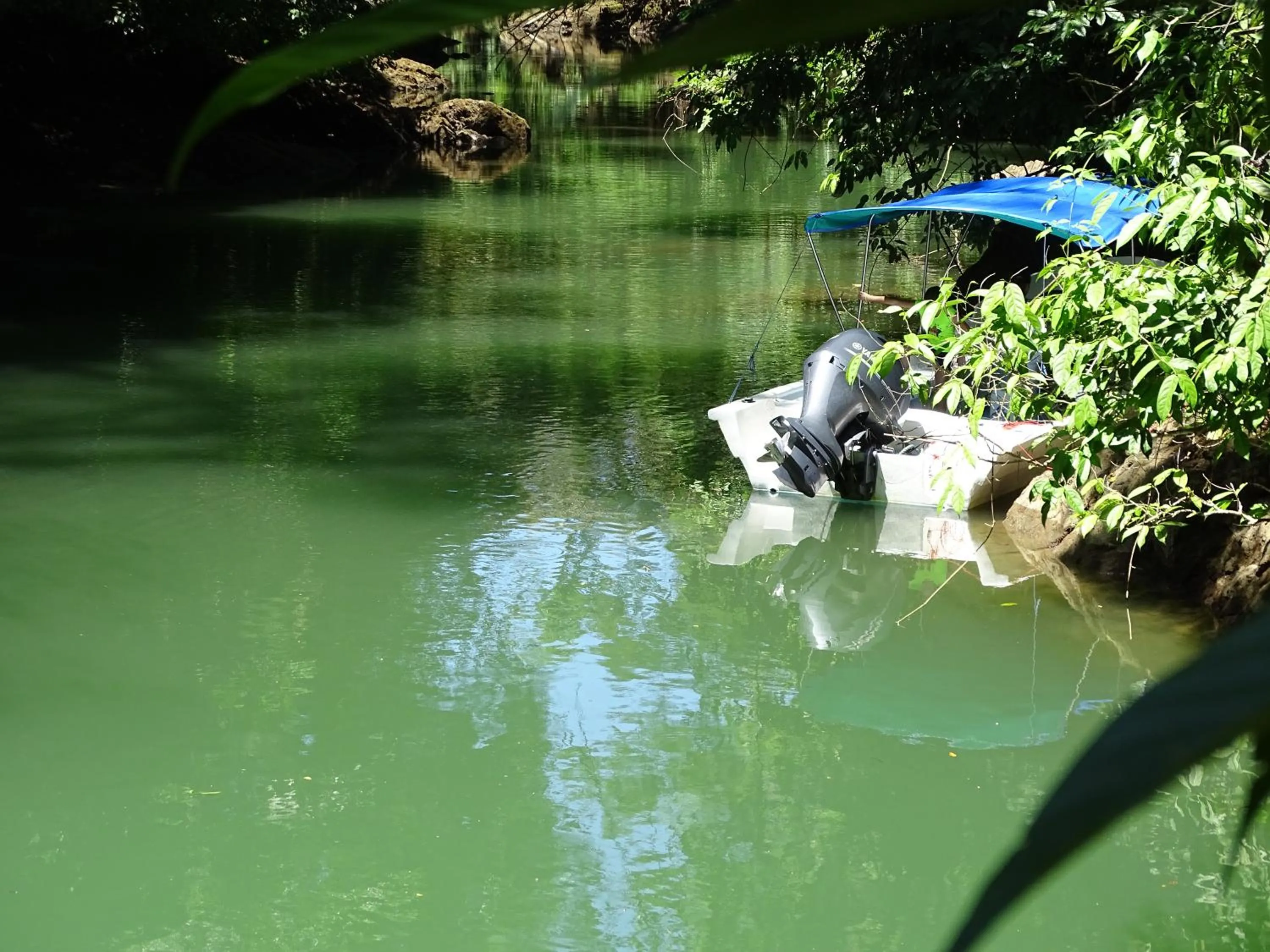 Other in Hostel Osa Tucan Drake