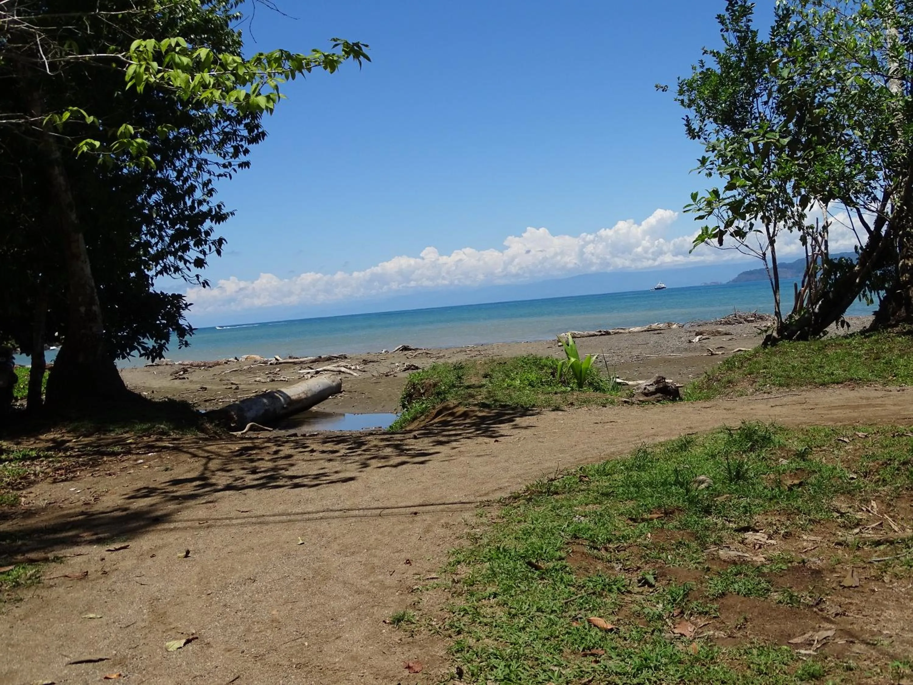 Other in Hostel Osa Tucan Drake