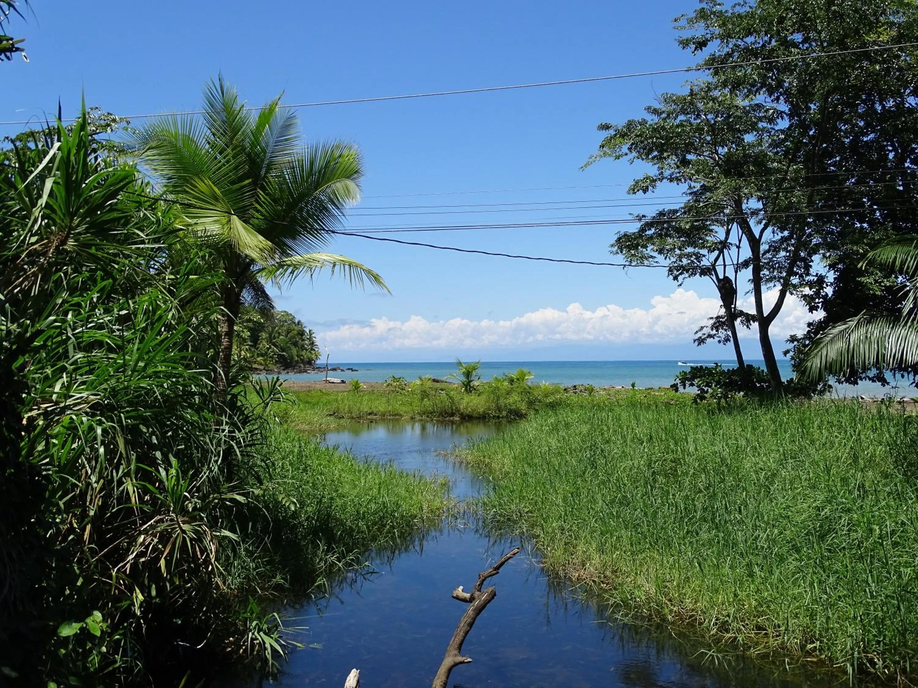 Other in Hostel Osa Tucan Drake