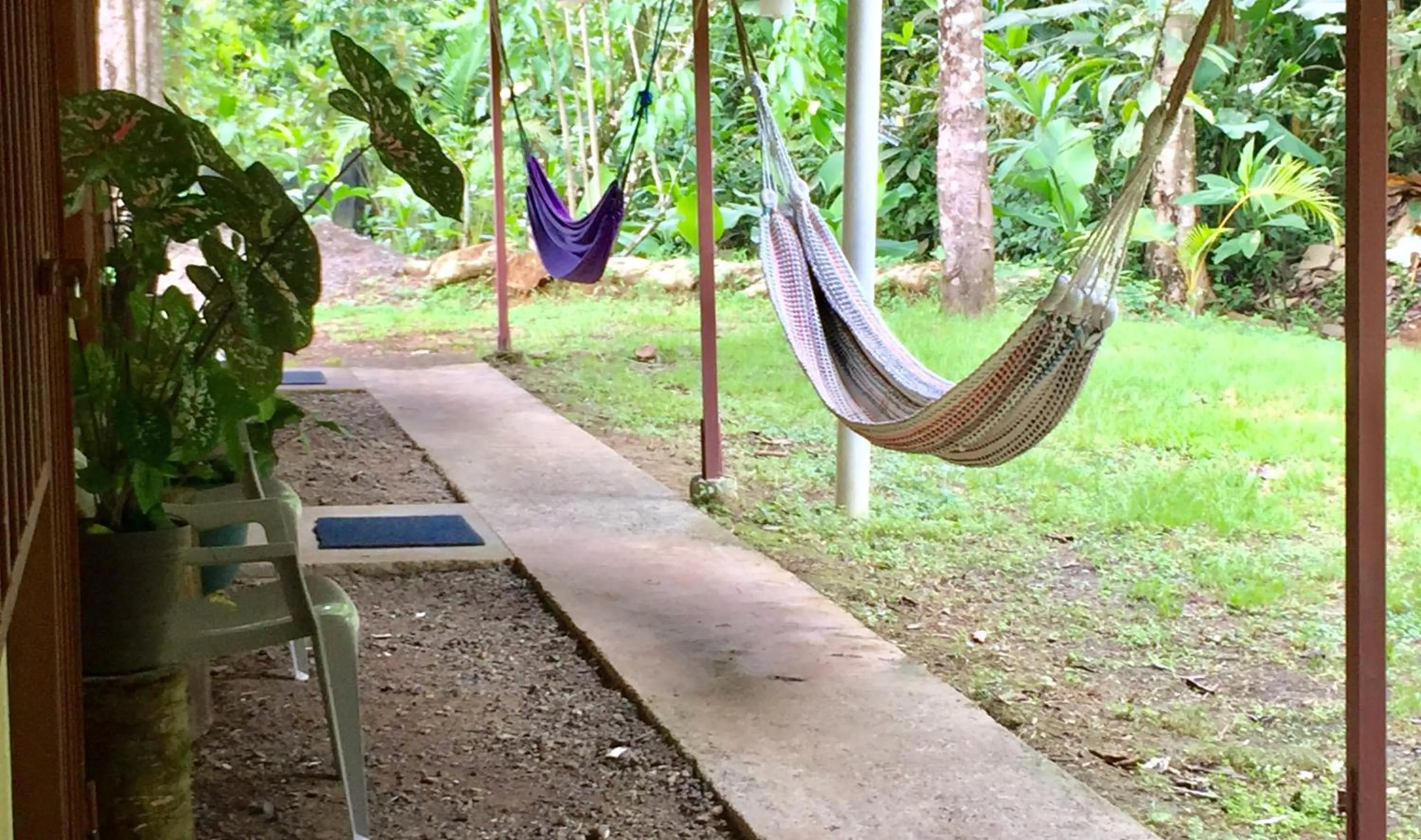 Property building in Hostel Osa Tucan Drake