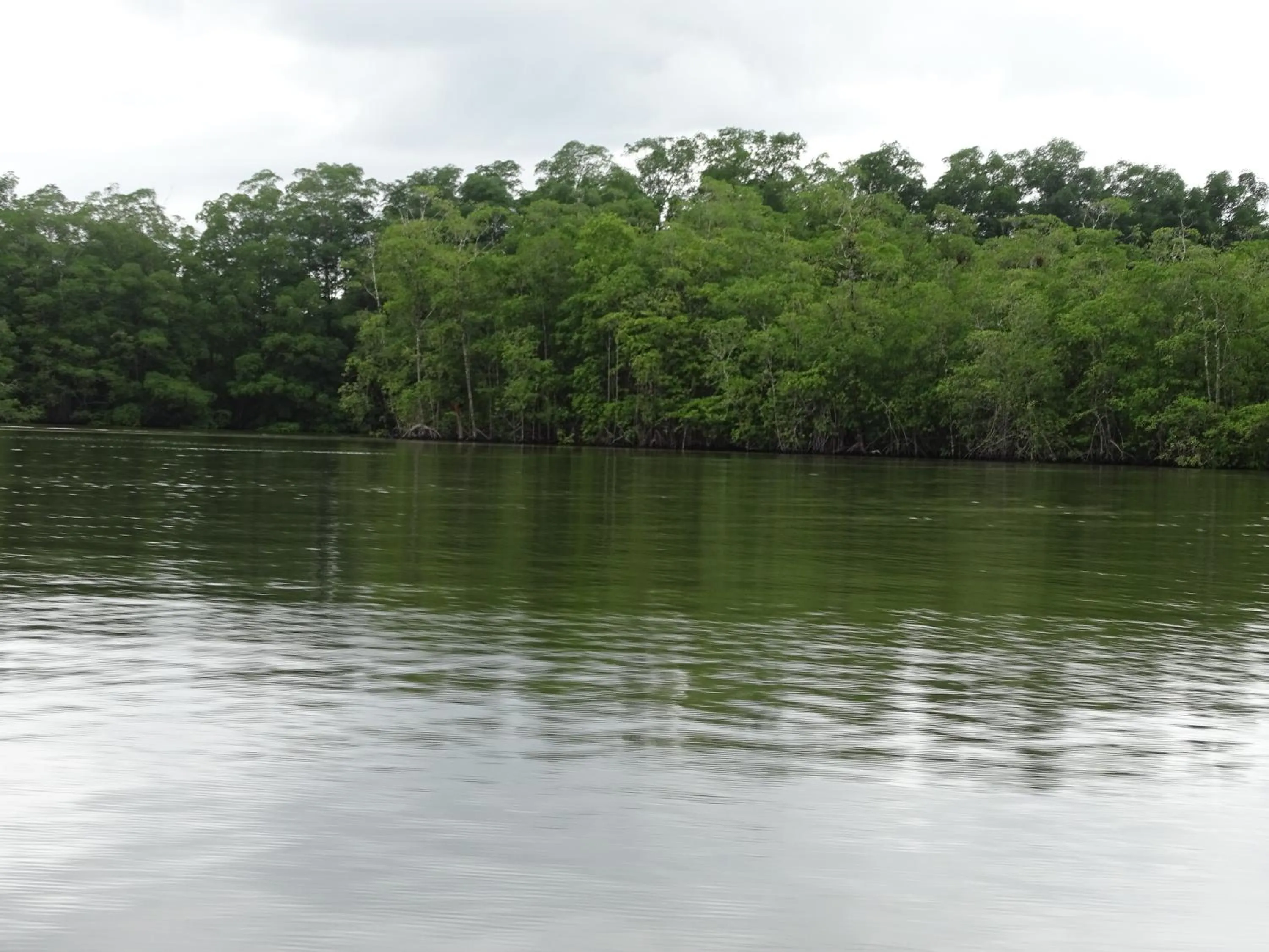 Other in Hostel Osa Tucan Drake