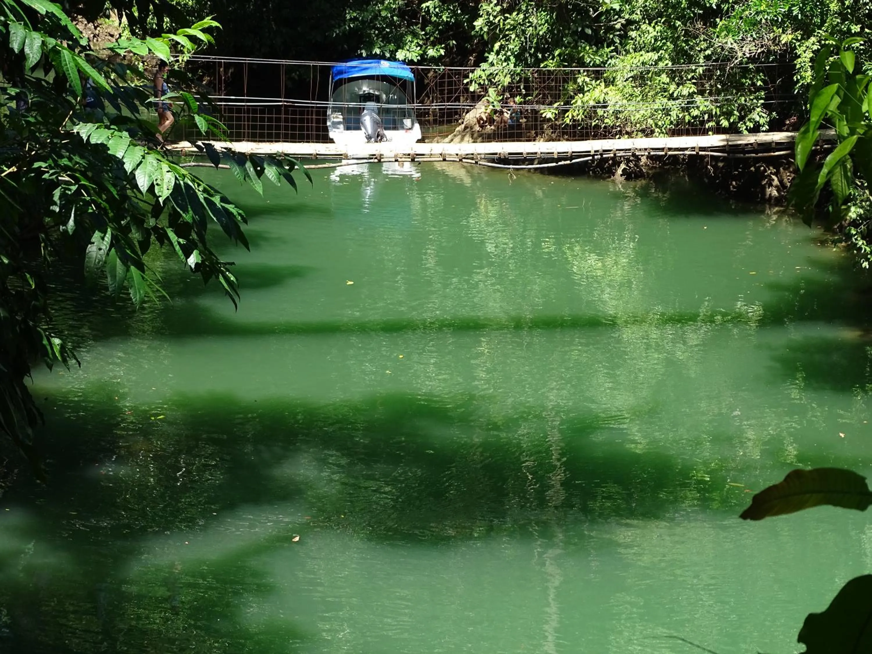 Other in Hostel Osa Tucan Drake