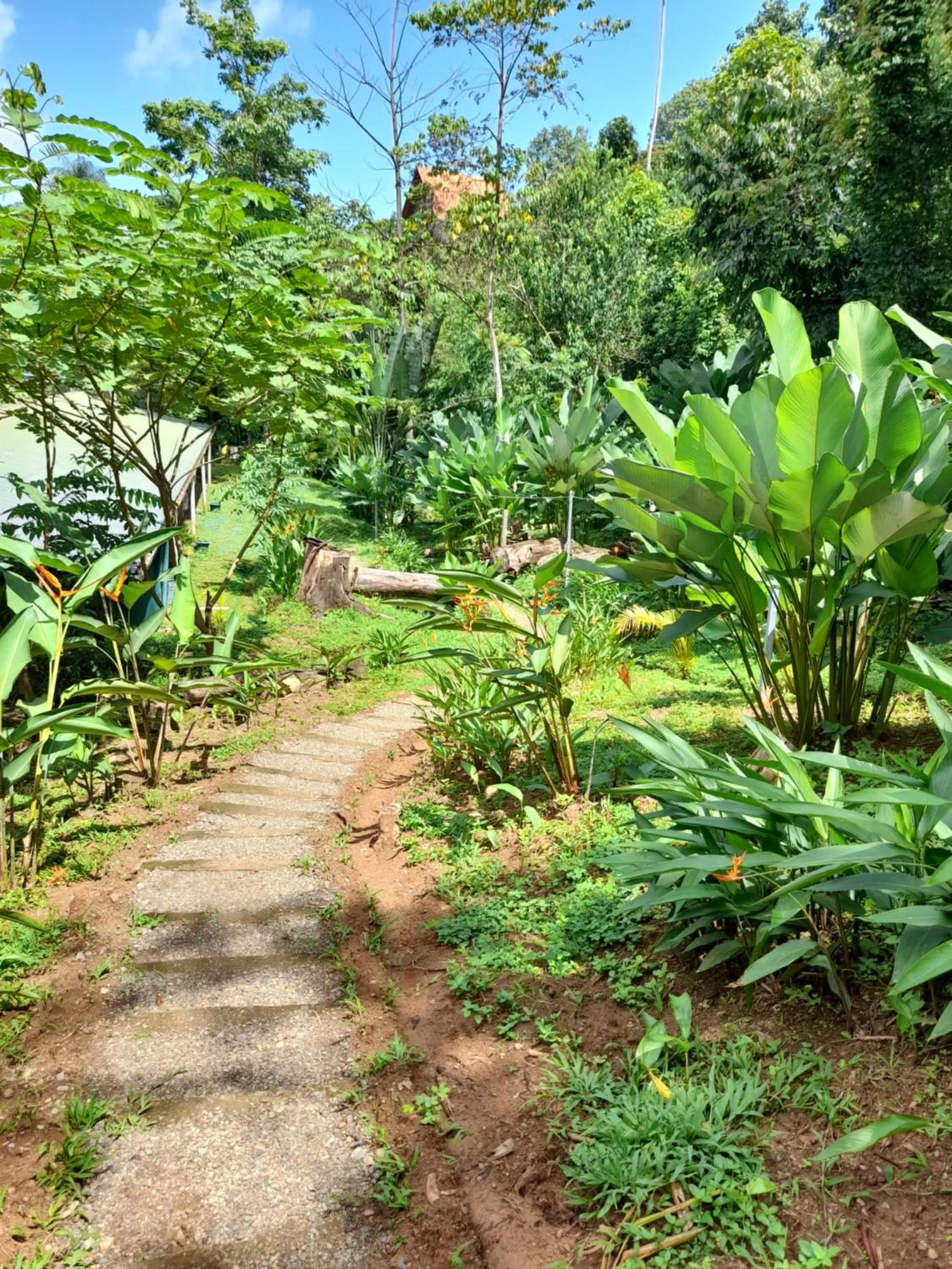 Patio in Hostel Osa Tucan Drake