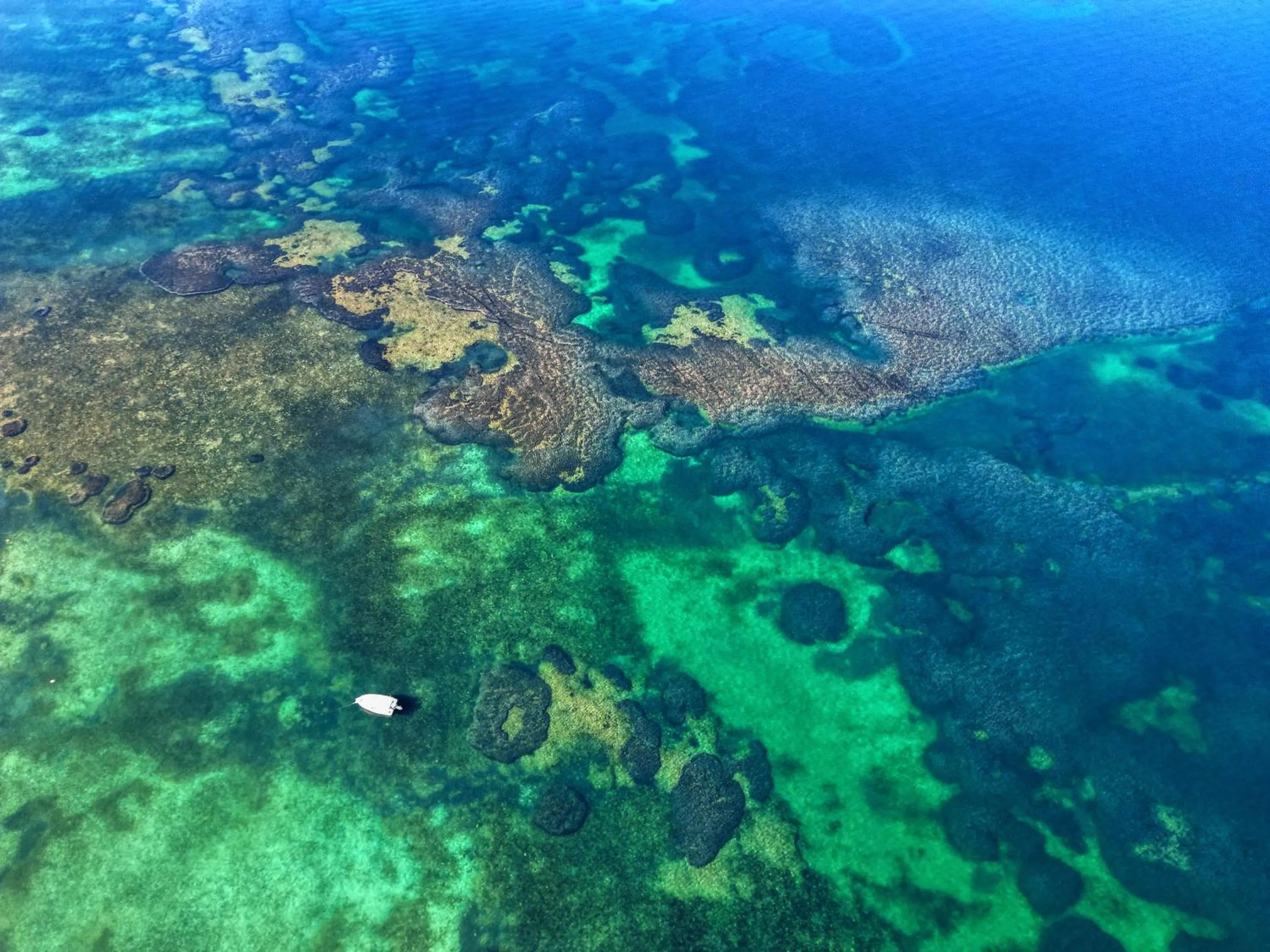 Elpiniki Luxury Apartments