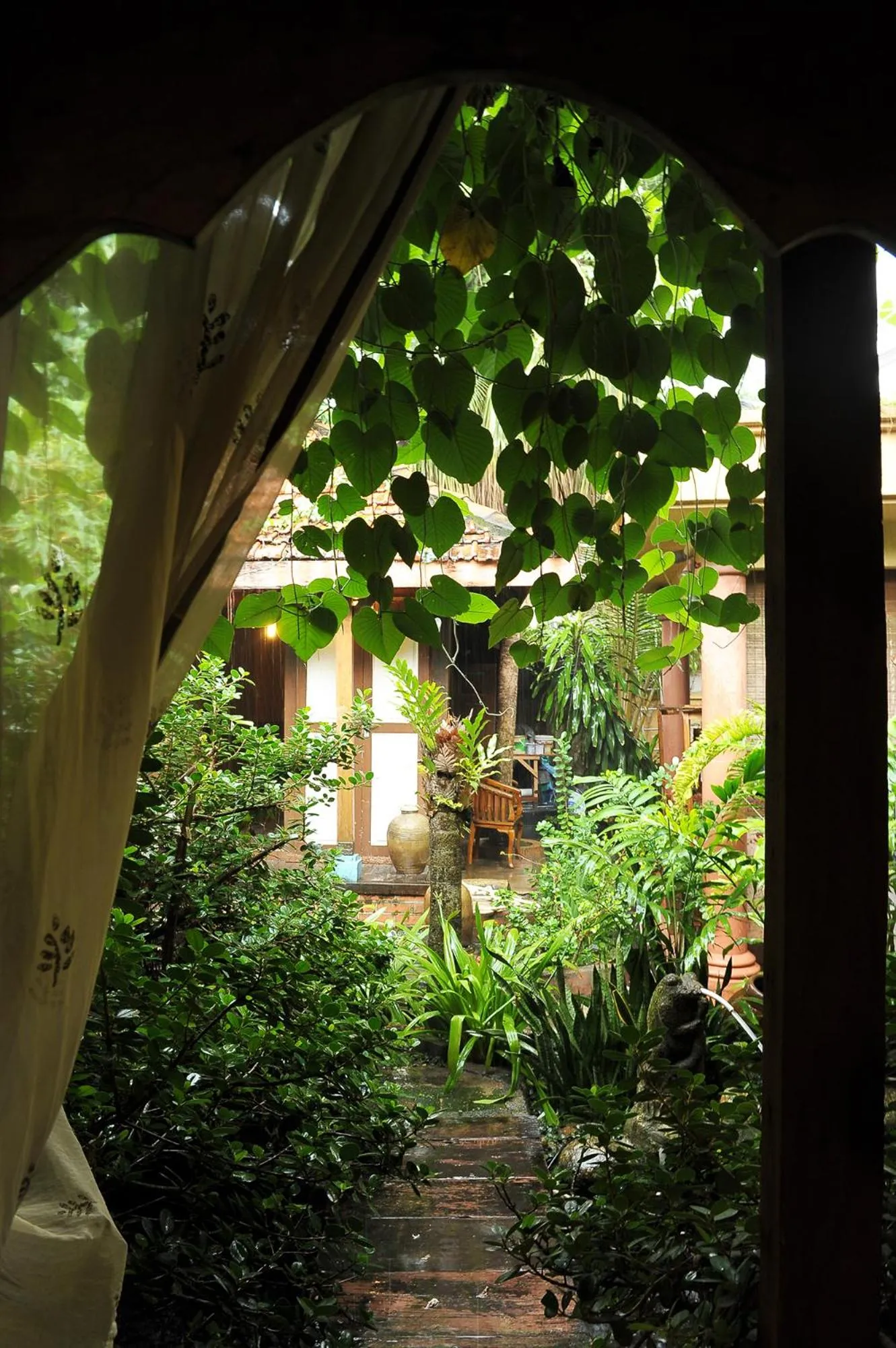 Garden in Classic Malay House in KL City Centre