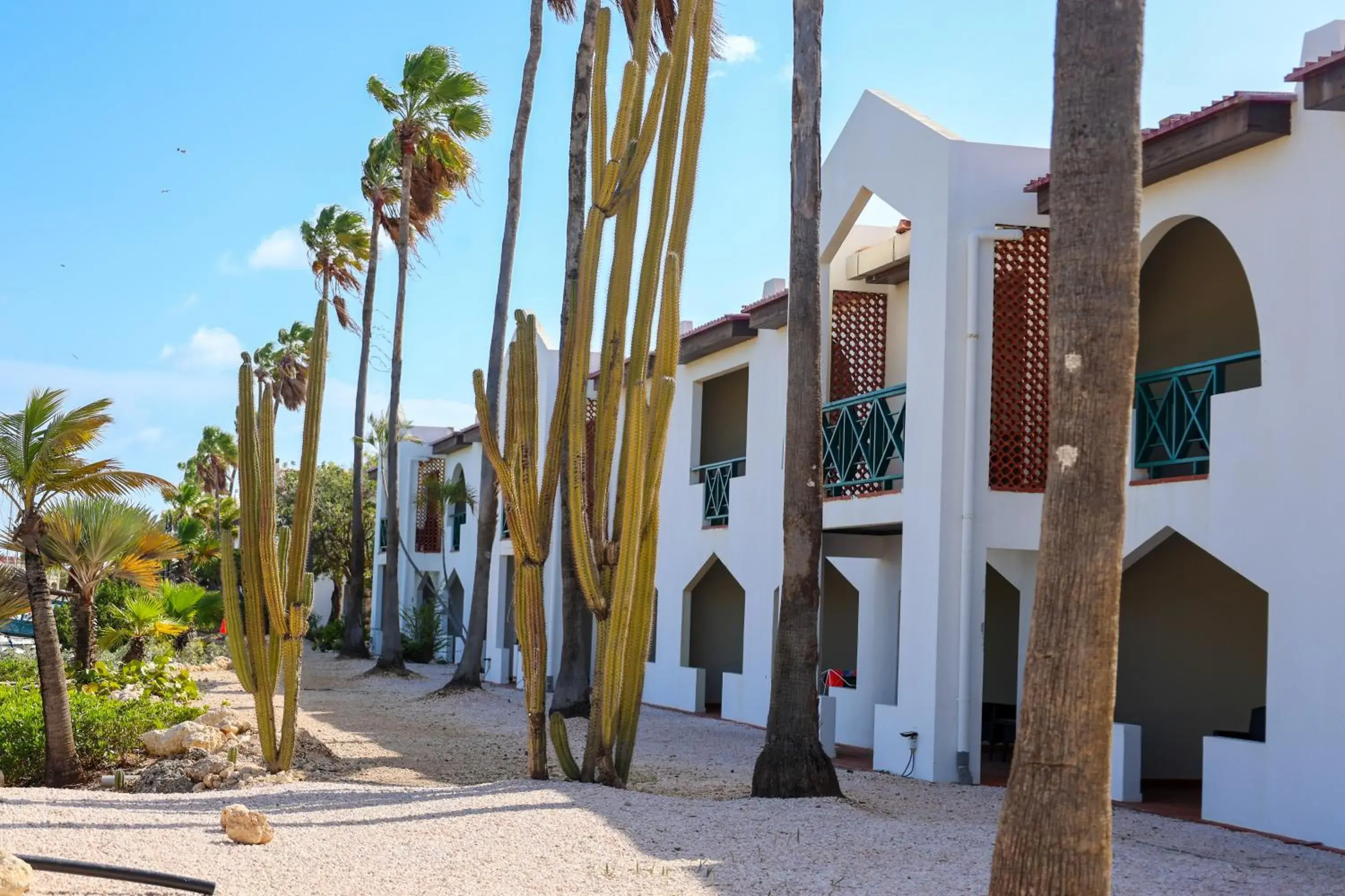 Junior Suite Laguna in Van der Valk Plaza Beach & Dive Resort Bonaire - ALL INCLUSIVE Junior Suite Laguna in Van der Valk Plaza Beach & Dive Resort Bonaire - ALL INCLUSIVE