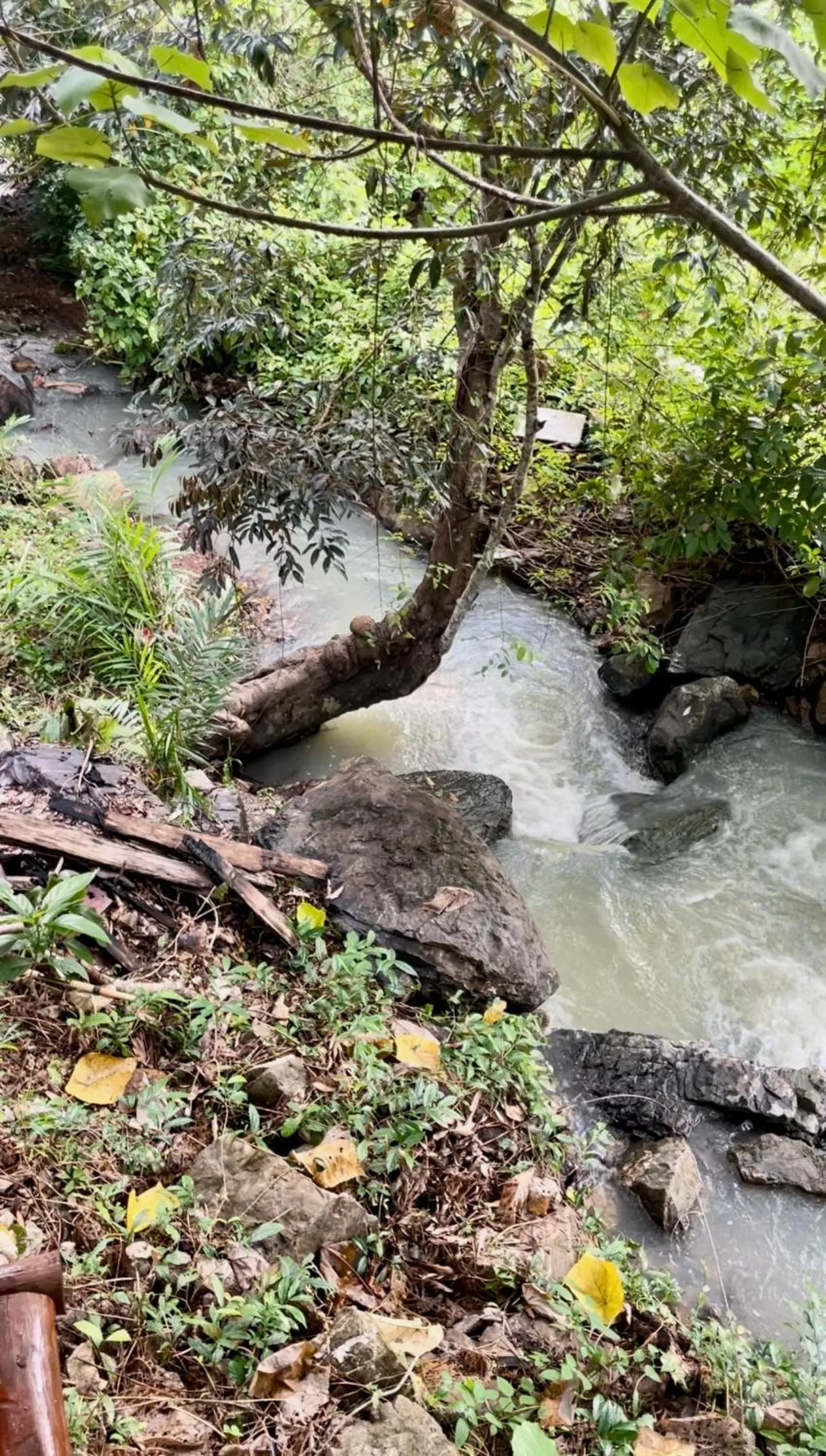 Siam Lanta Resort - SHA Extra Plus