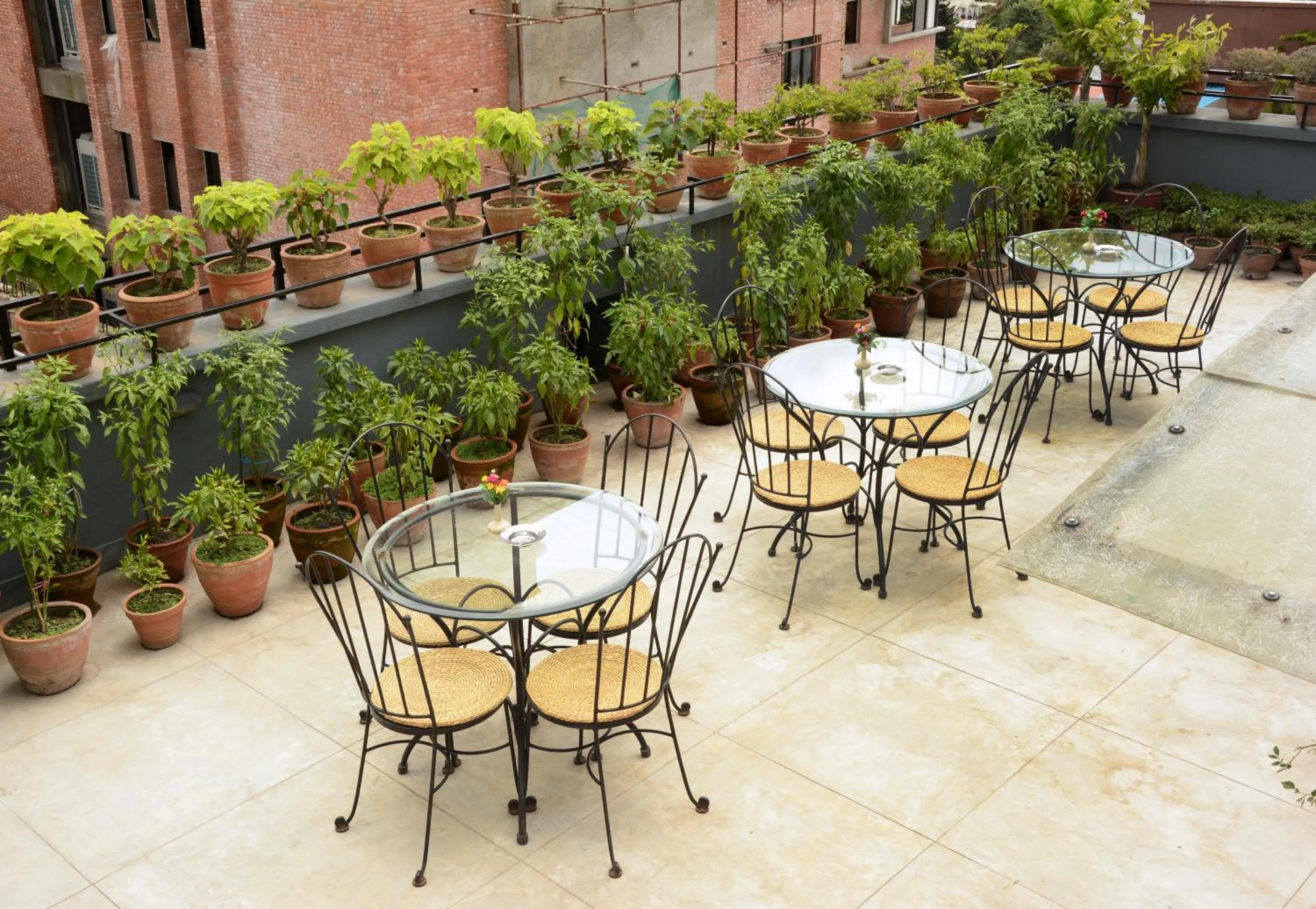 Garden in Fuji Hotel