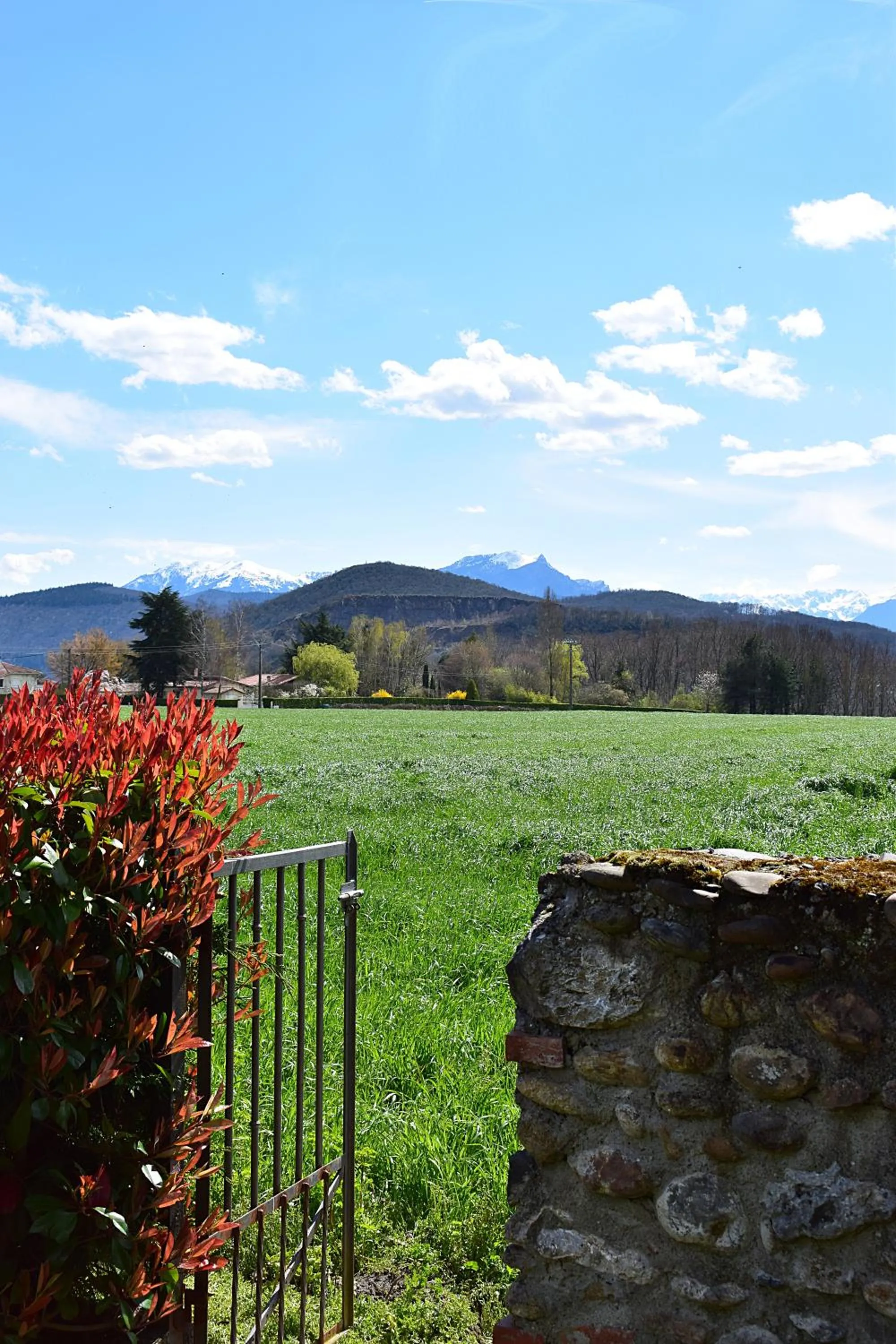 Garden, Natural Landscape in La Magie des Rêves