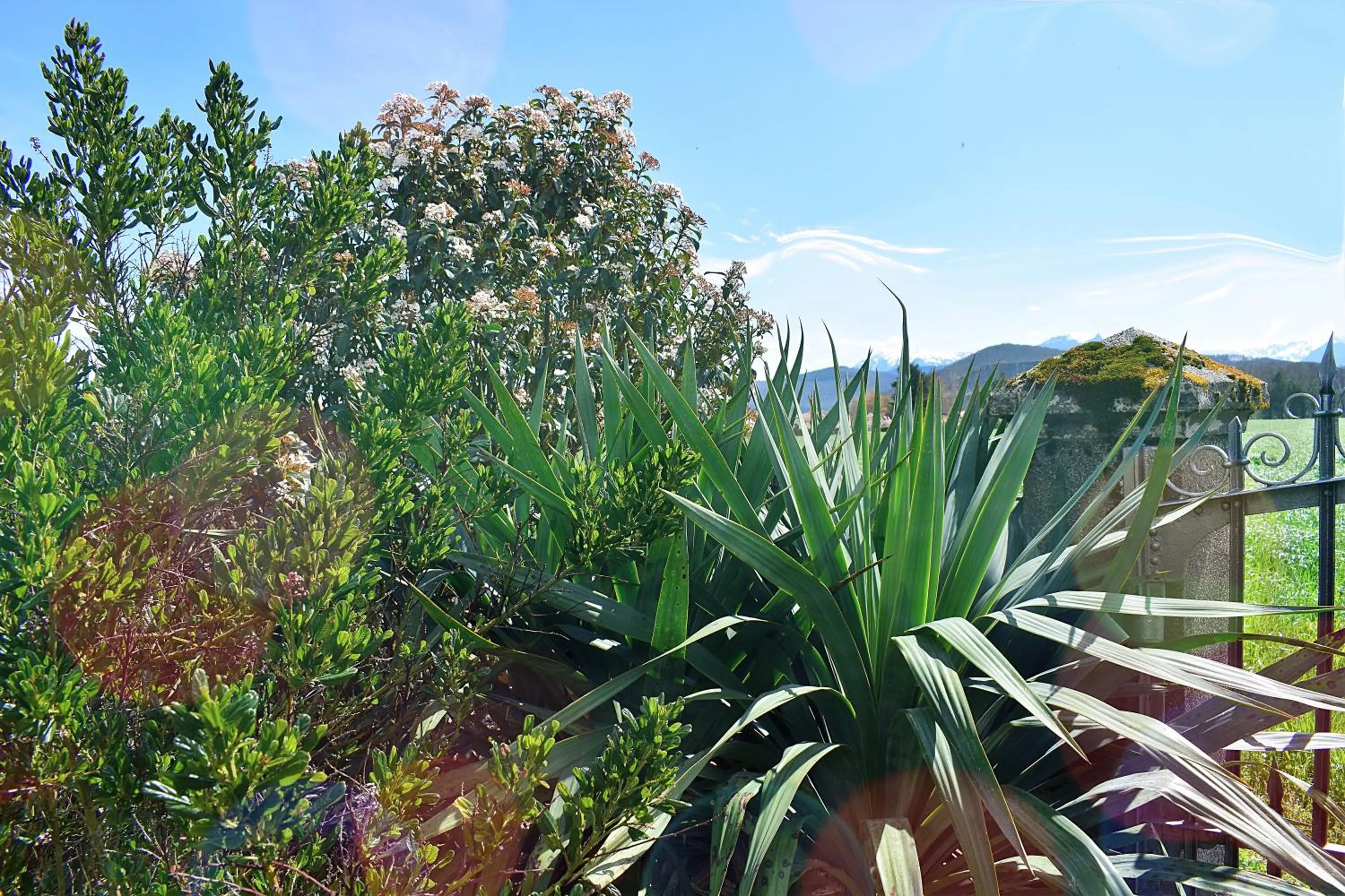 Decorative detail in La Magie des Rêves