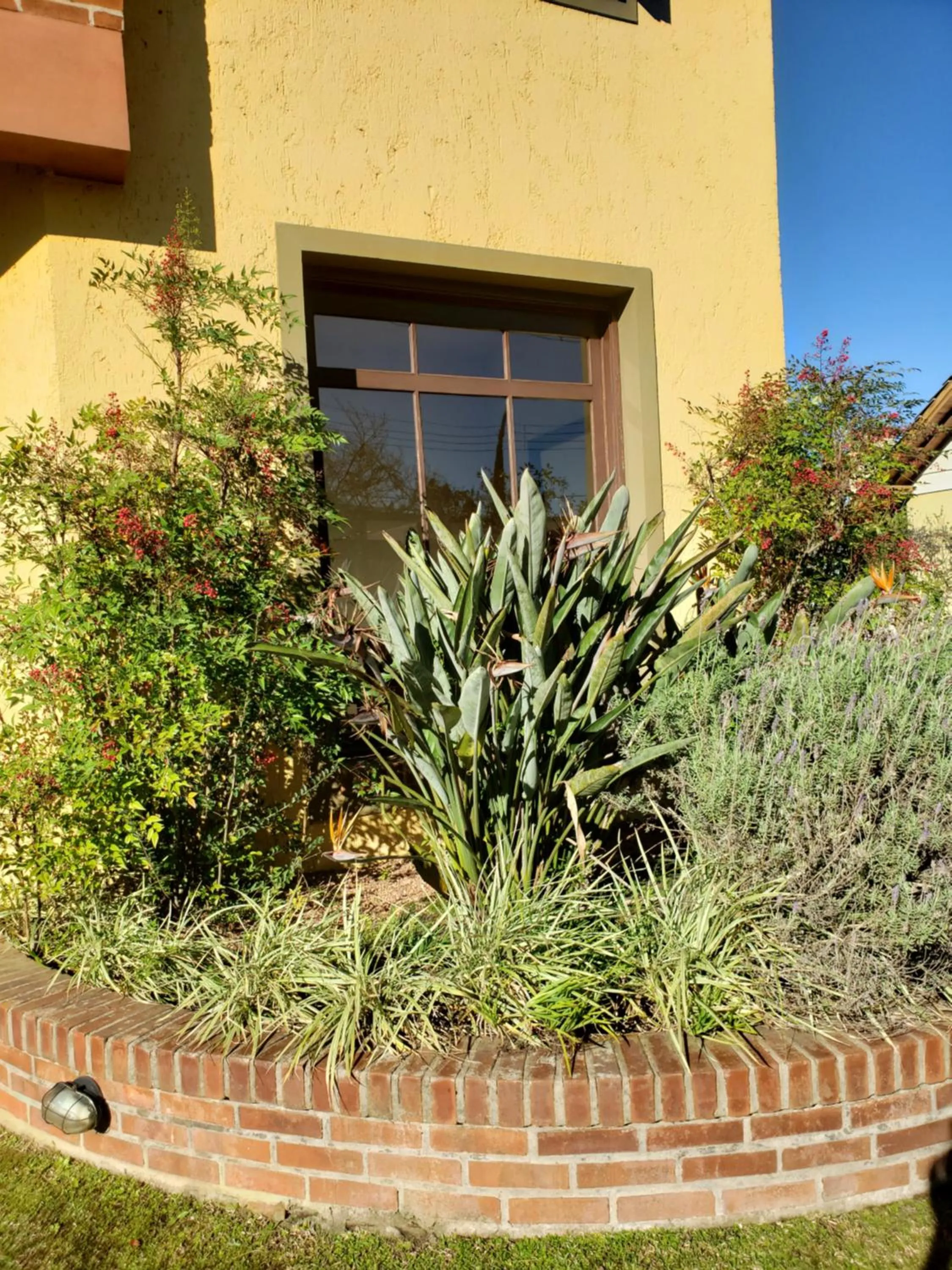 Garden in Apartamento Flor de Canela