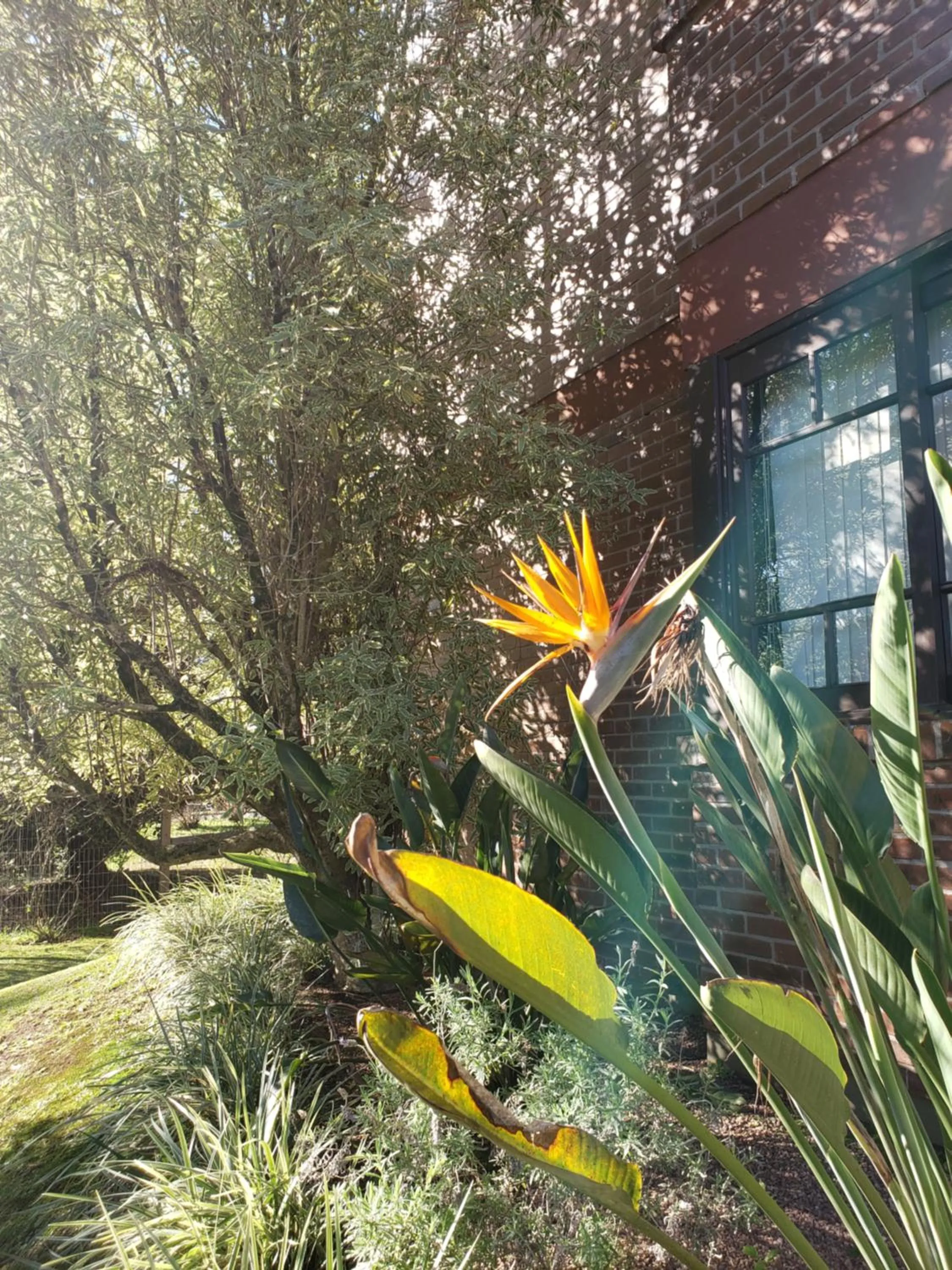 Garden in Apartamento Flor de Canela