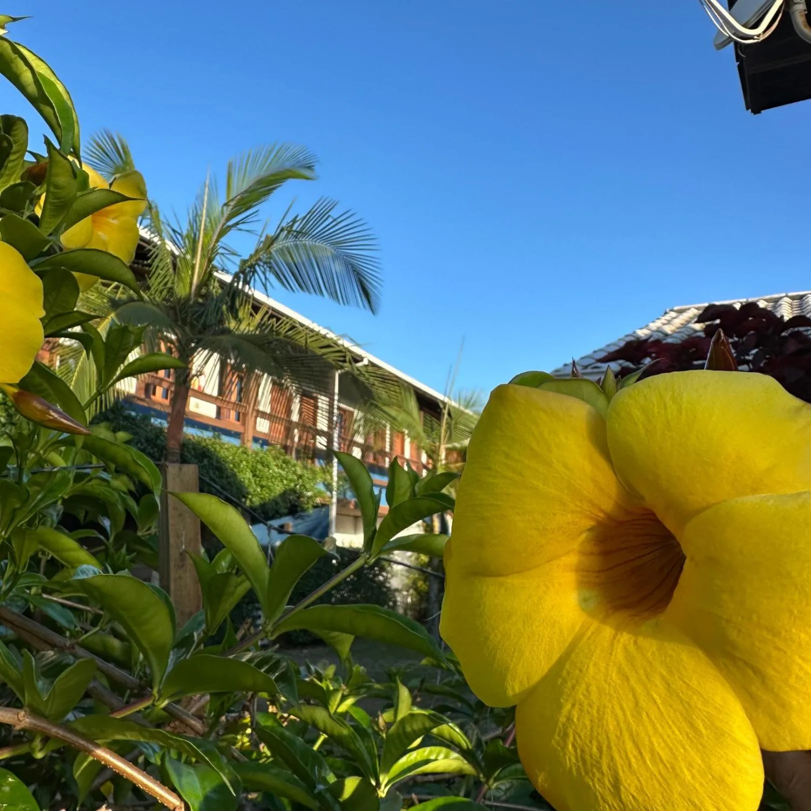 Garden in Pousada Lagoa do Rosa