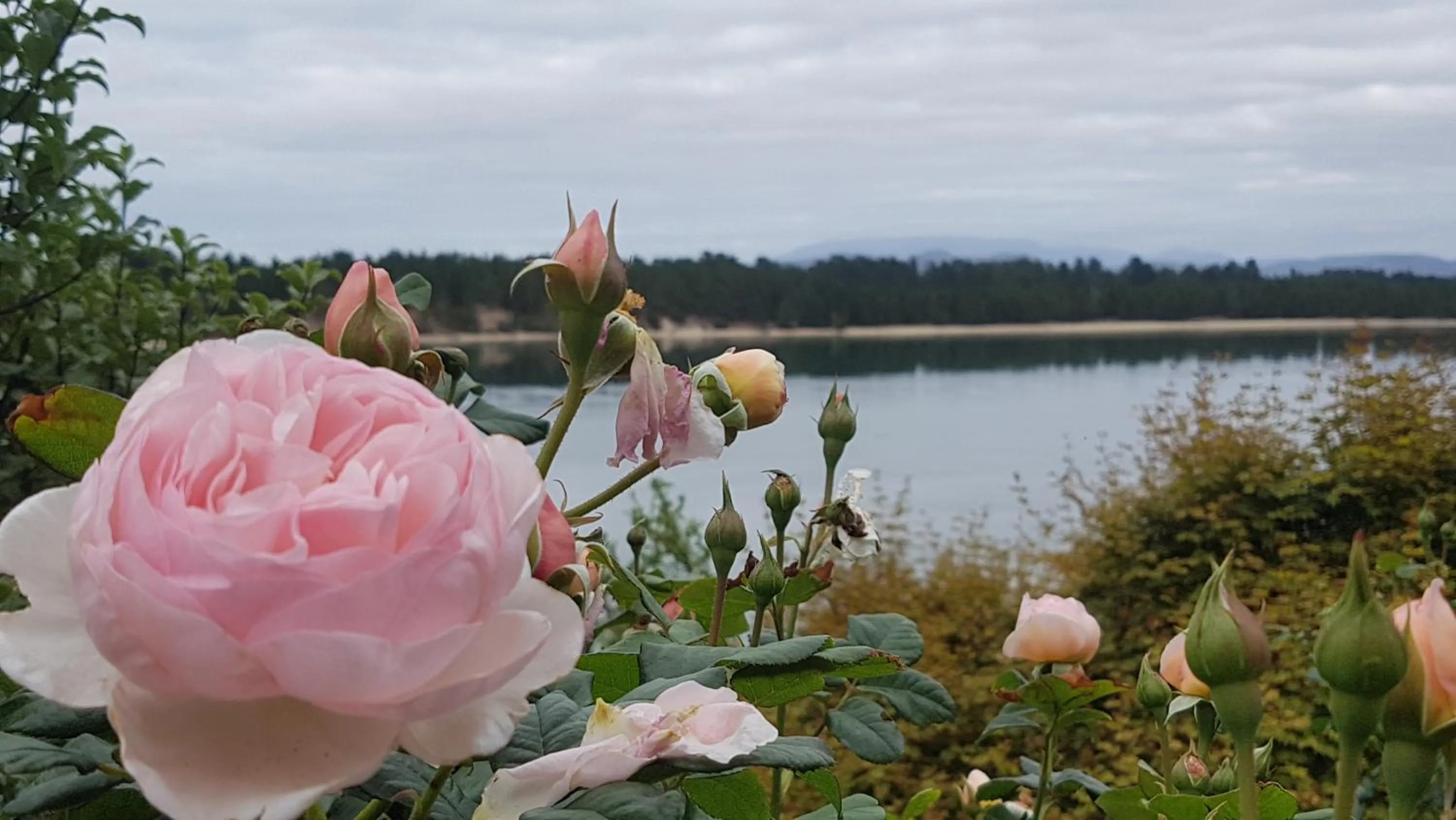 Mountain view in Lewi Waters