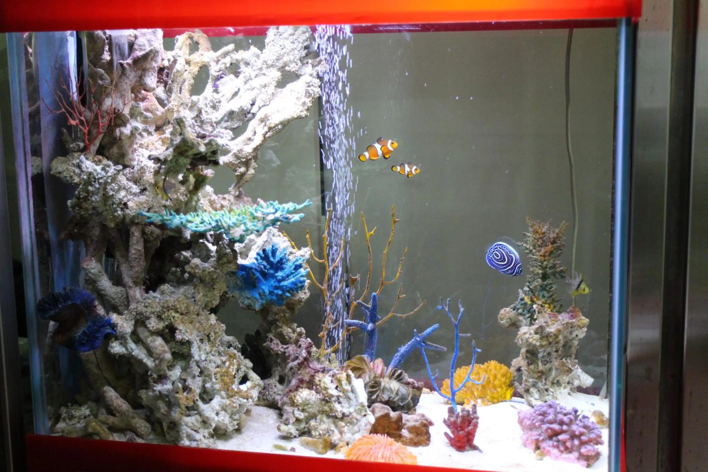 Animals in Business Hotel Raicho