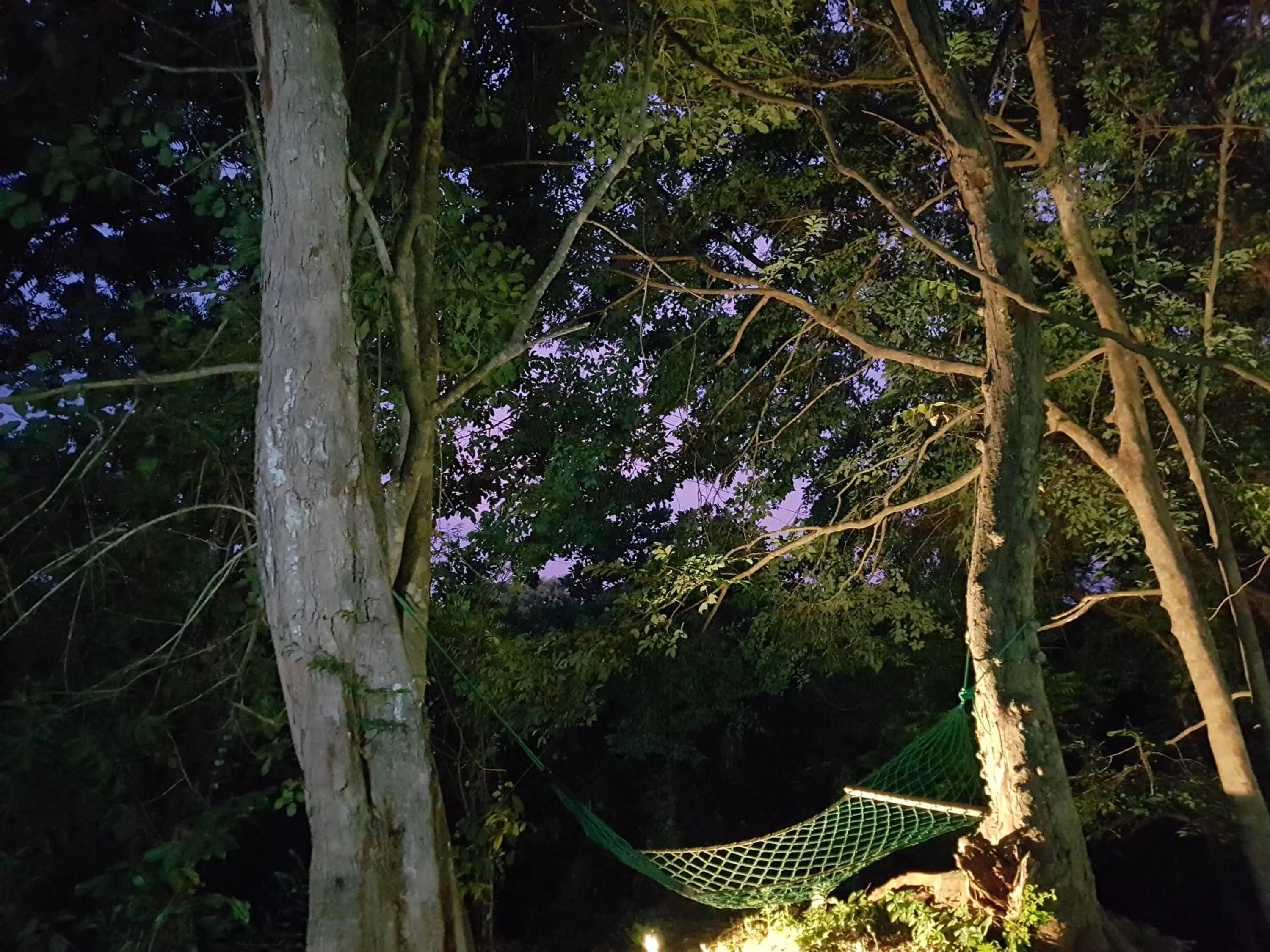 Landmark view in Green House Resort