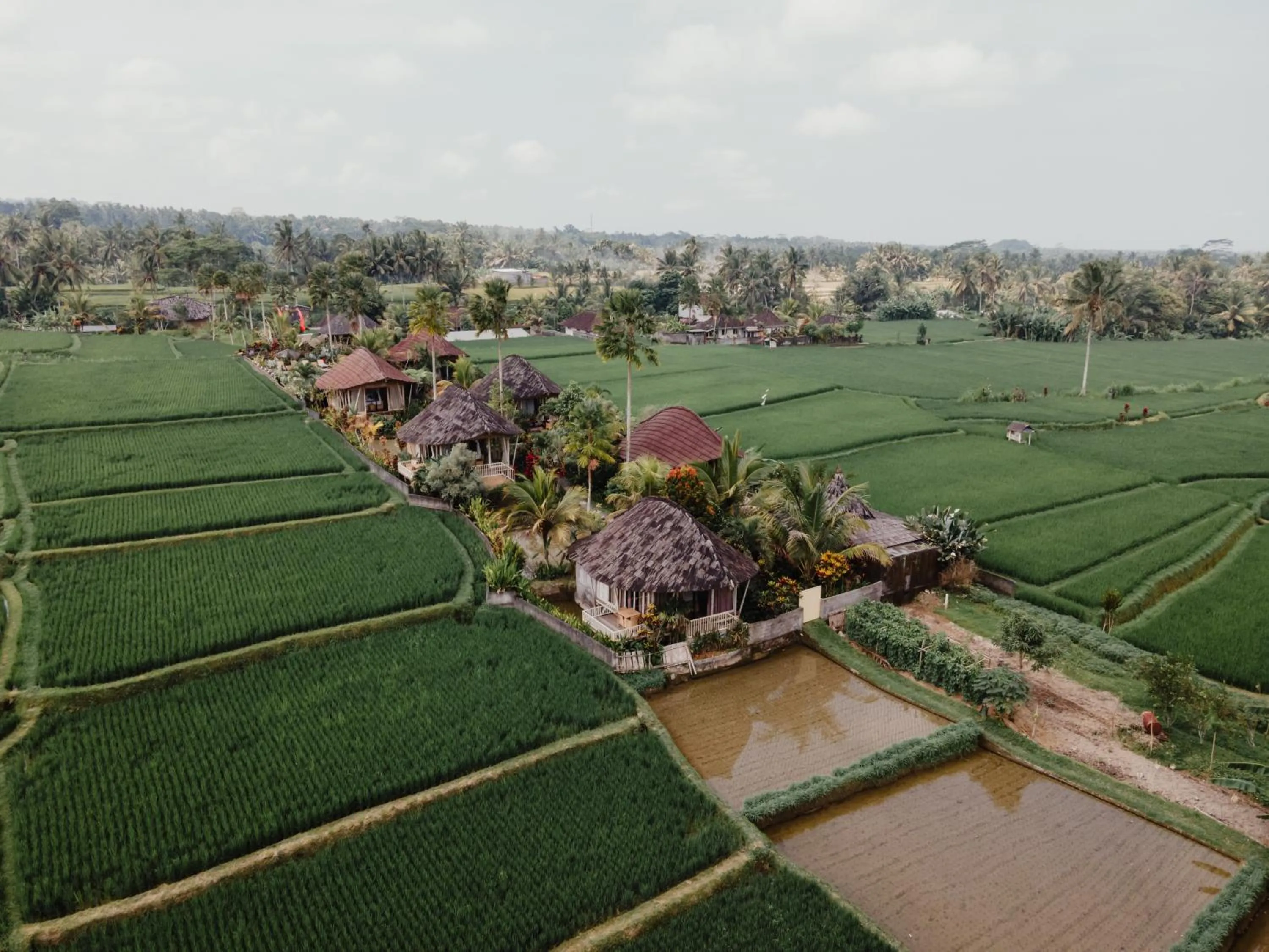 Spring in Padi Bali Retreat