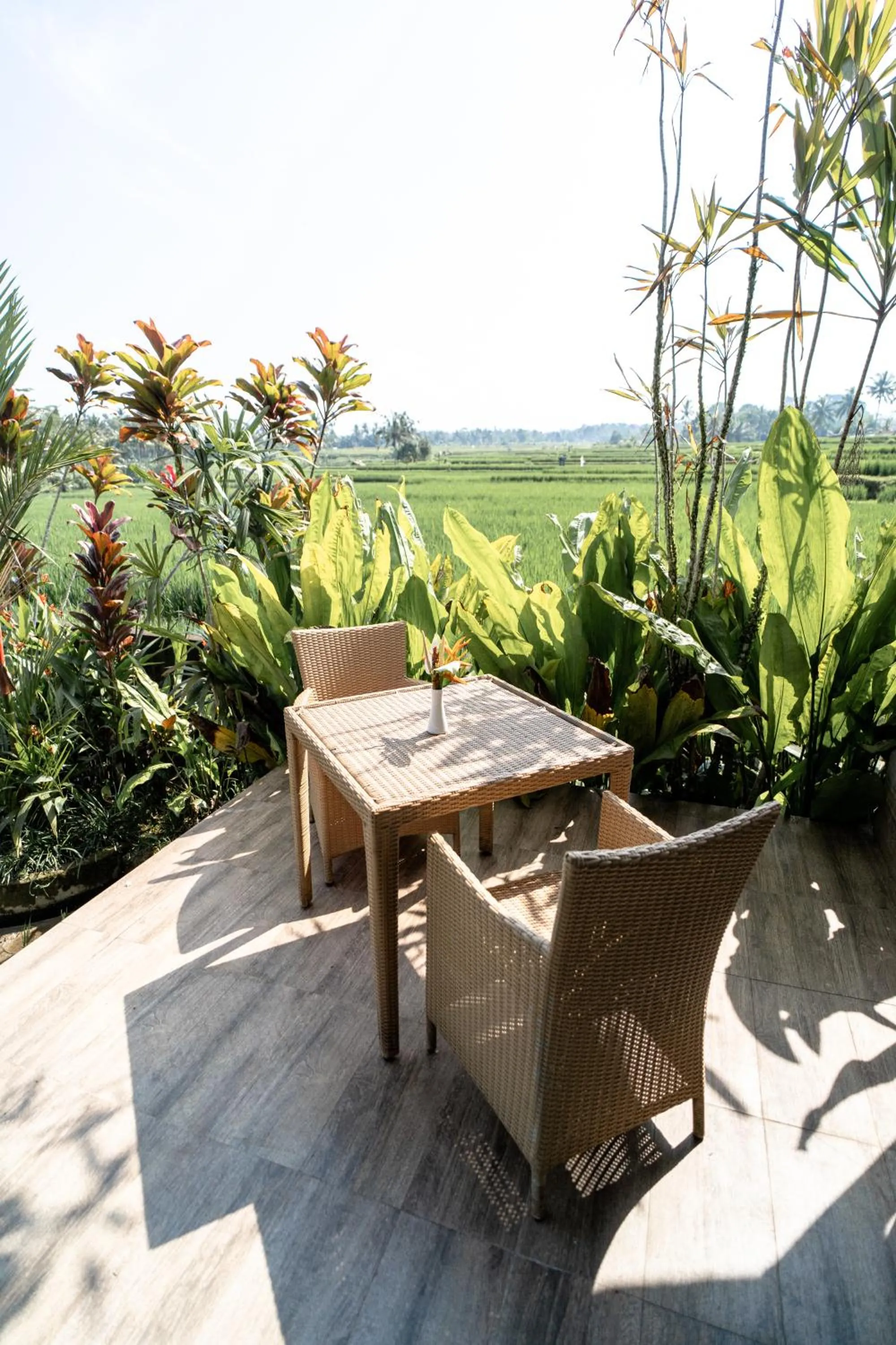 Natural landscape in Padi Bali Retreat