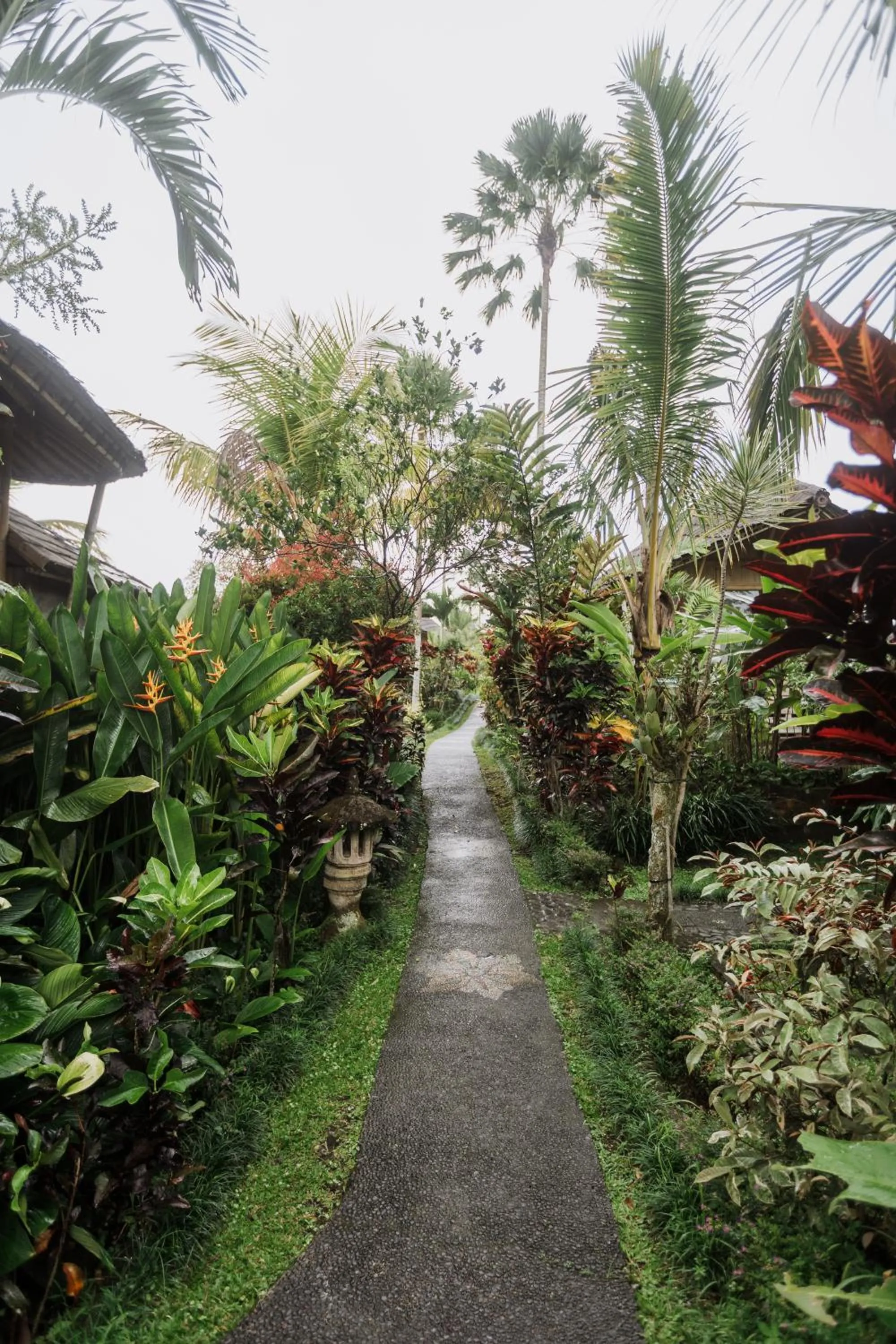 Garden in Padi Bali Retreat