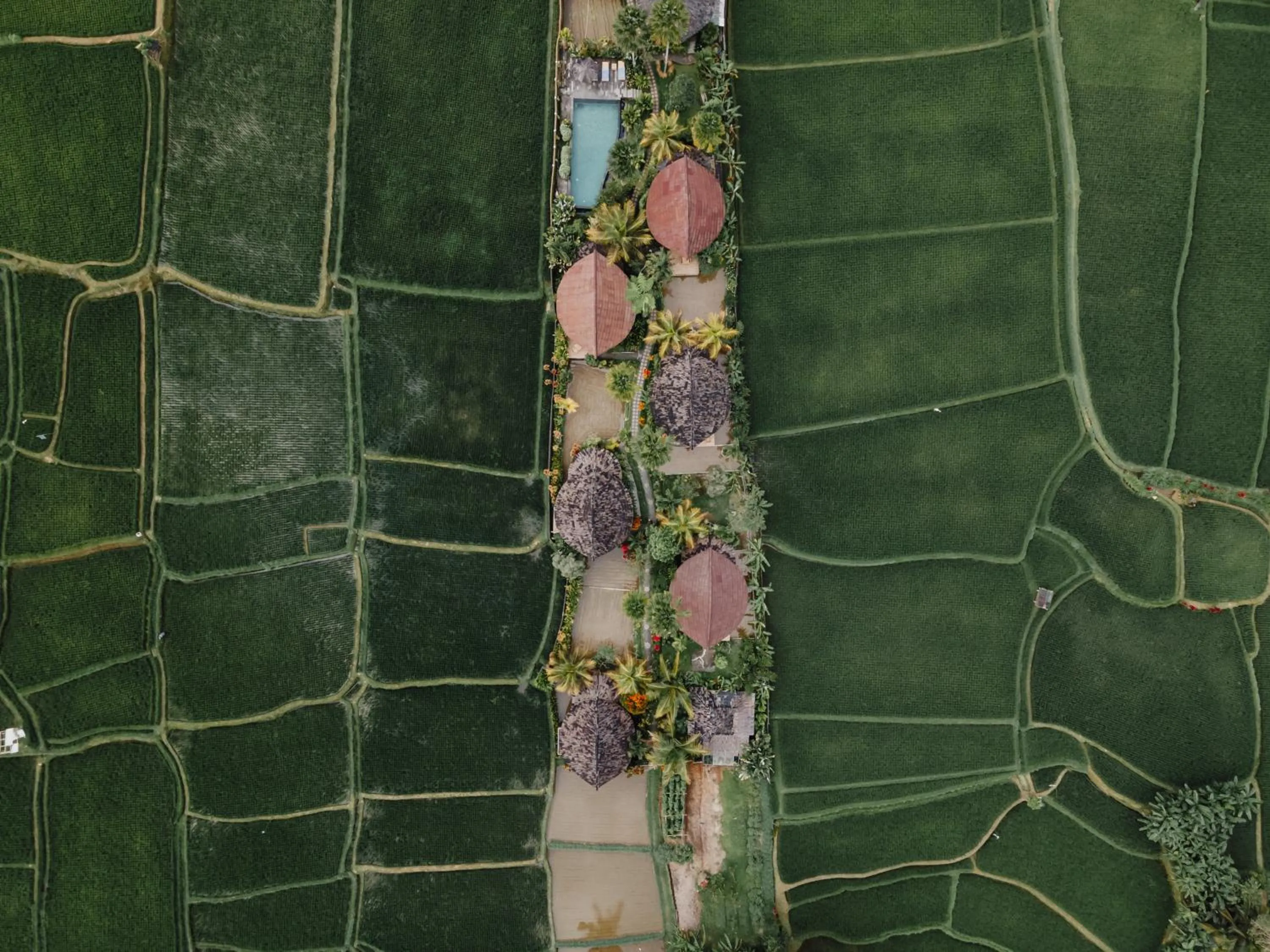 Day in Padi Bali Retreat